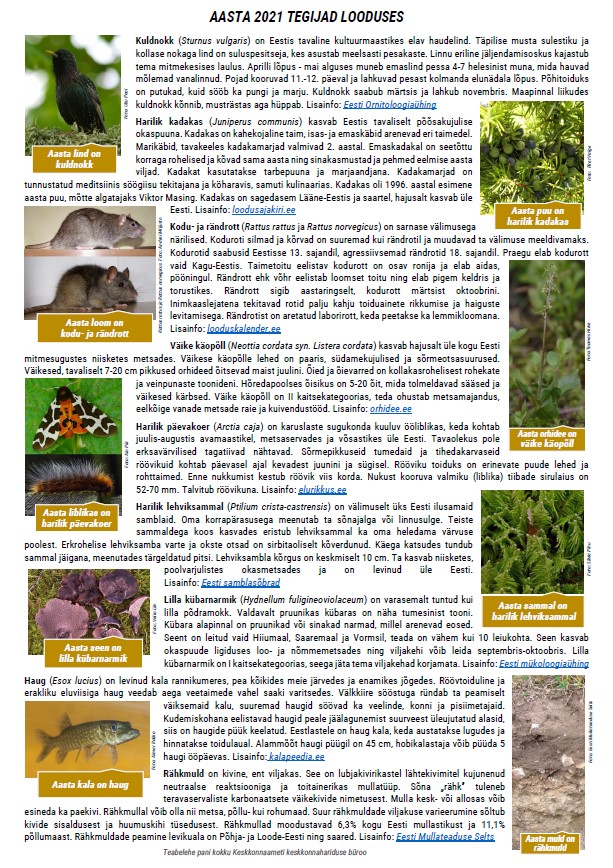 plakat aasta tegijad