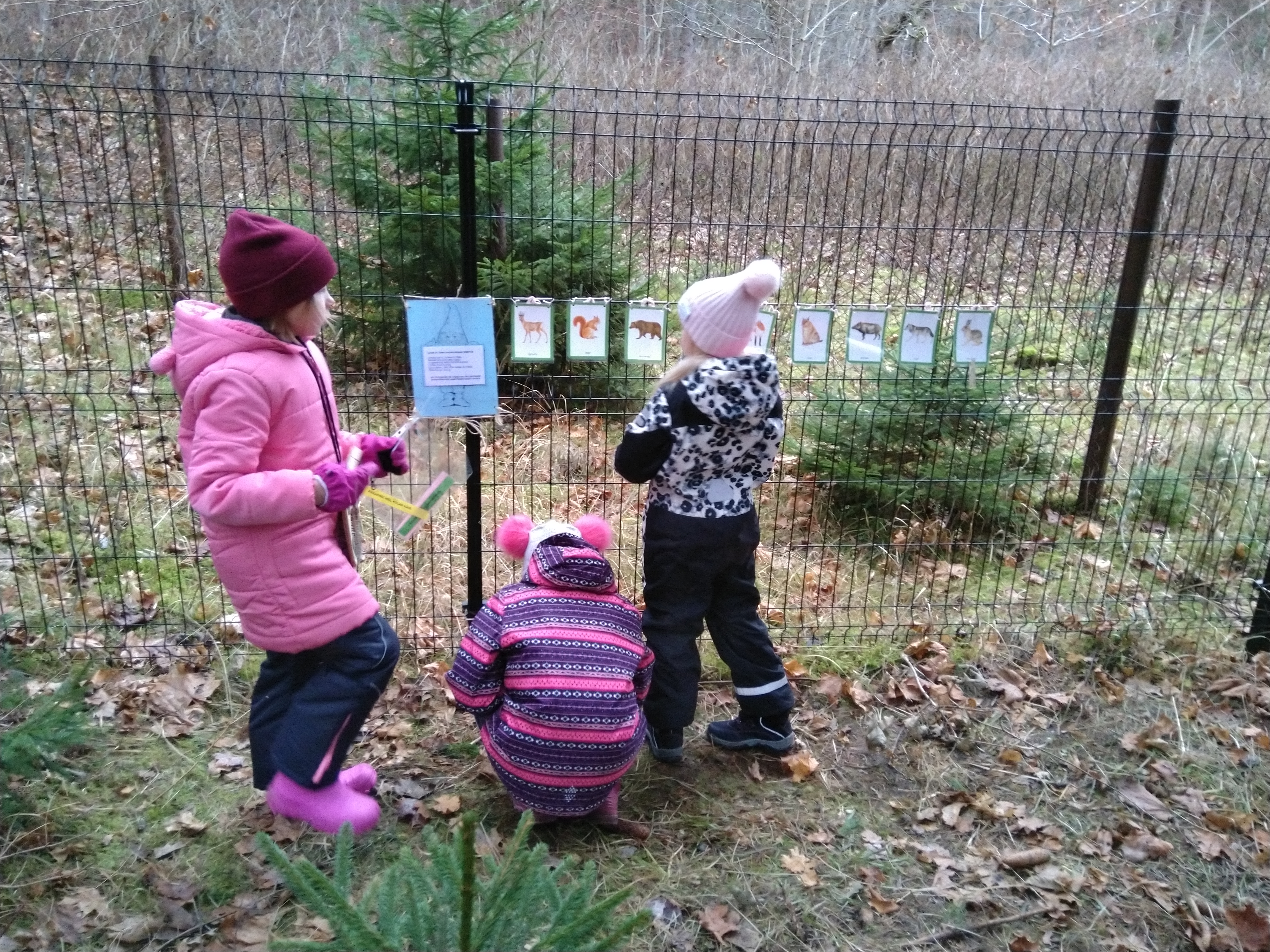 Loomade rahvapärased nimetused