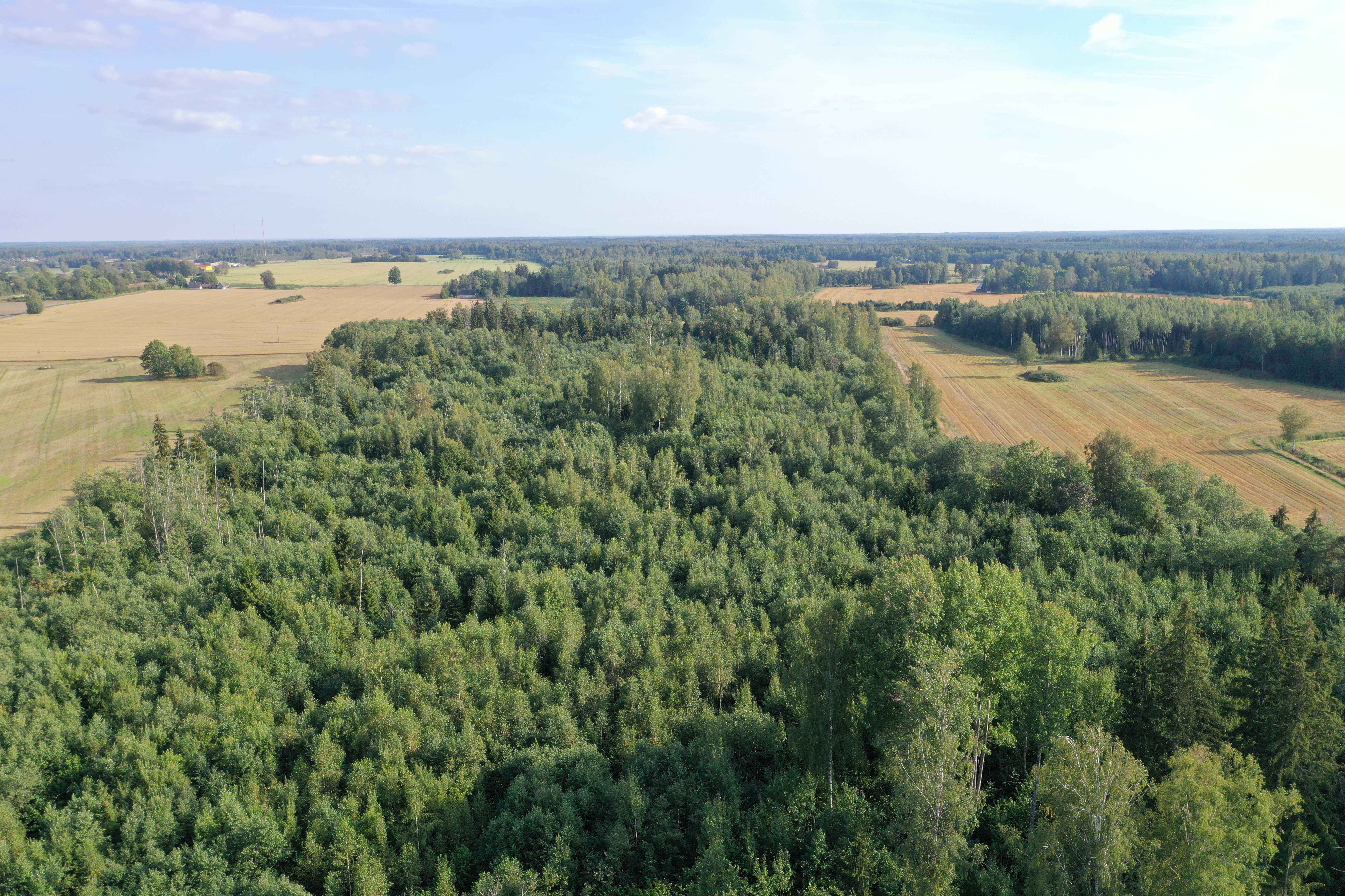 Looduskaitse ja kaasamise õpiõu 7.-9. klassile Viljandimaal