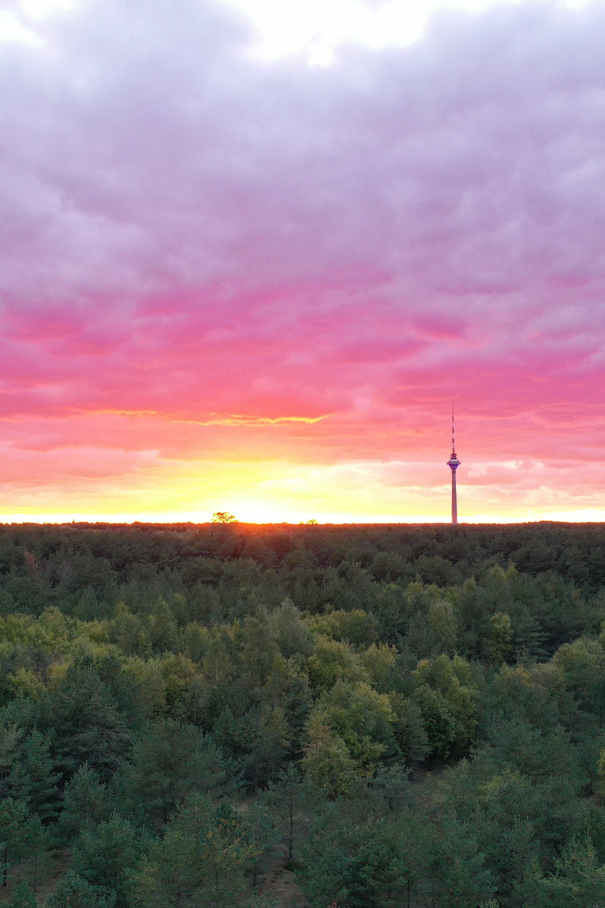 Mets ja meie vastutus (7.-9. klass Harjumaal)