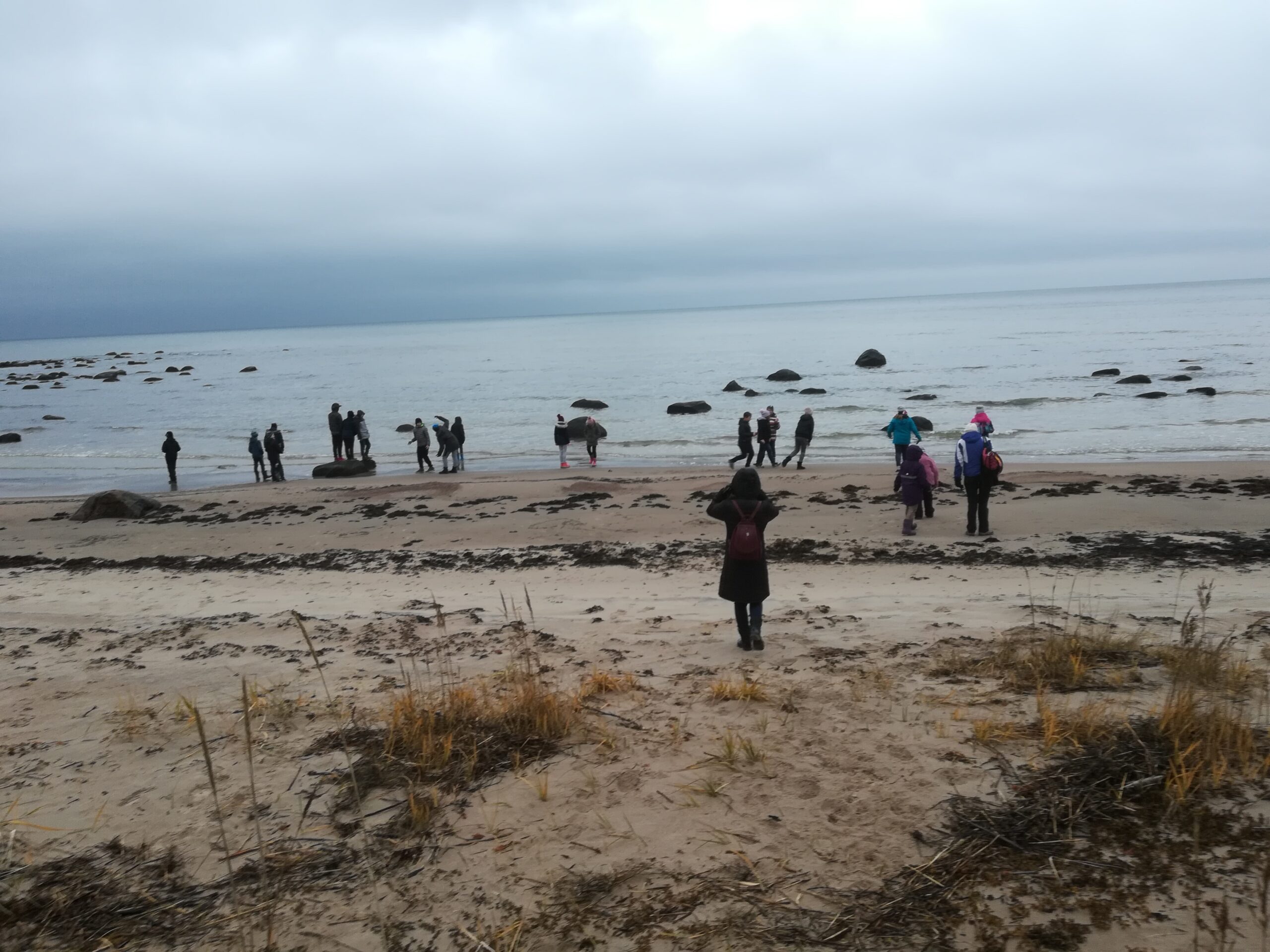 Käsmu randa õppekäik