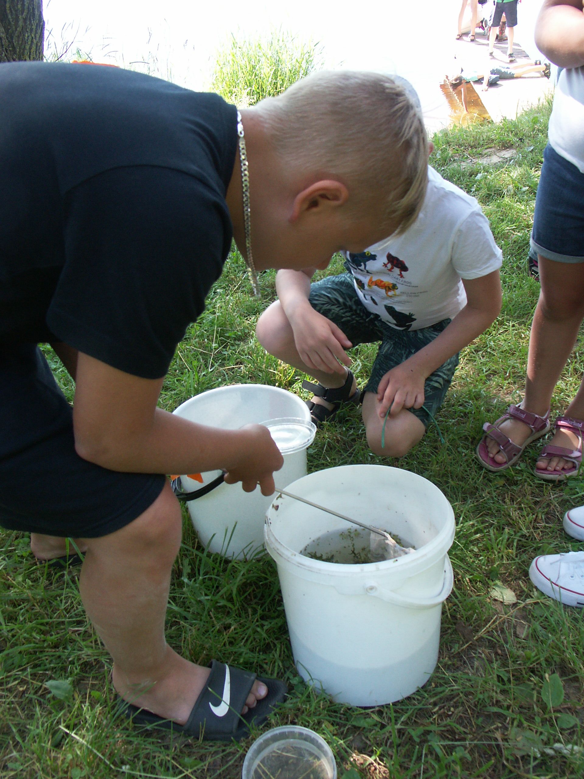  Jõe suudme ja mereranniku ökosüsteemi võrdlus