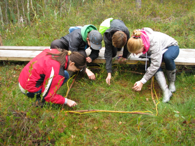 Lapsed uurivad rabas kasvavaid taimi