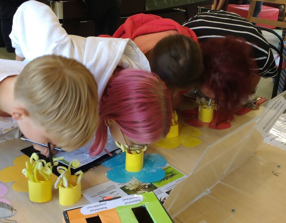 Looduse kaubamaja_türi