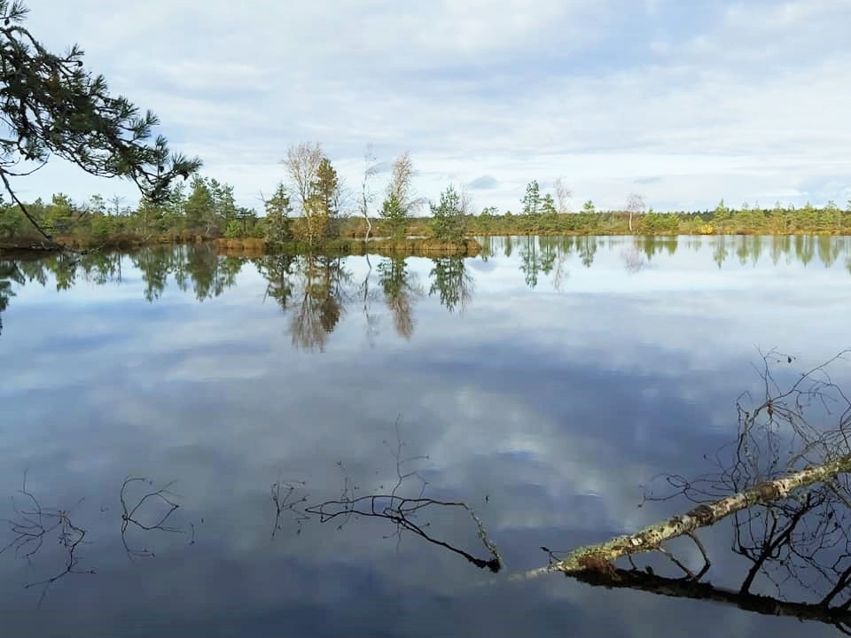 Laugasjärv Rabivere rabas