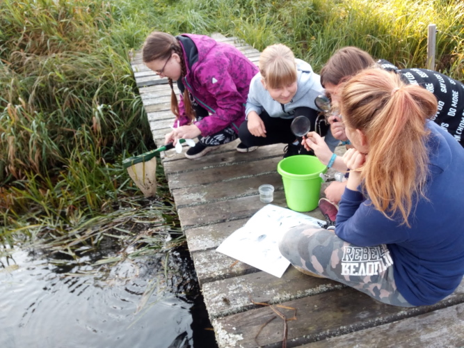 Vee-elustiku uurimine