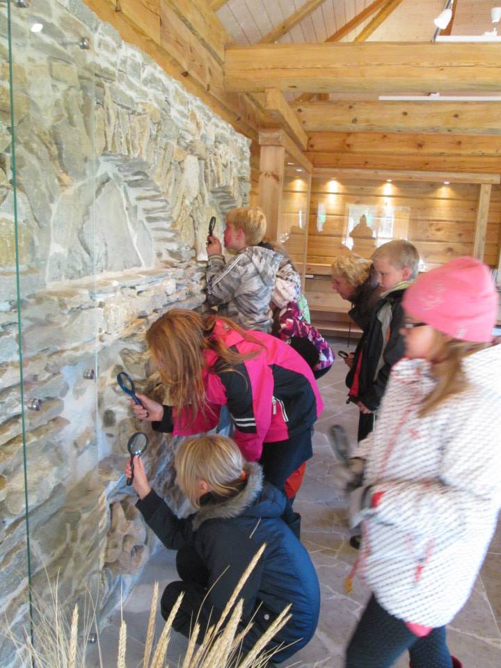 Kivistunud elurikkus