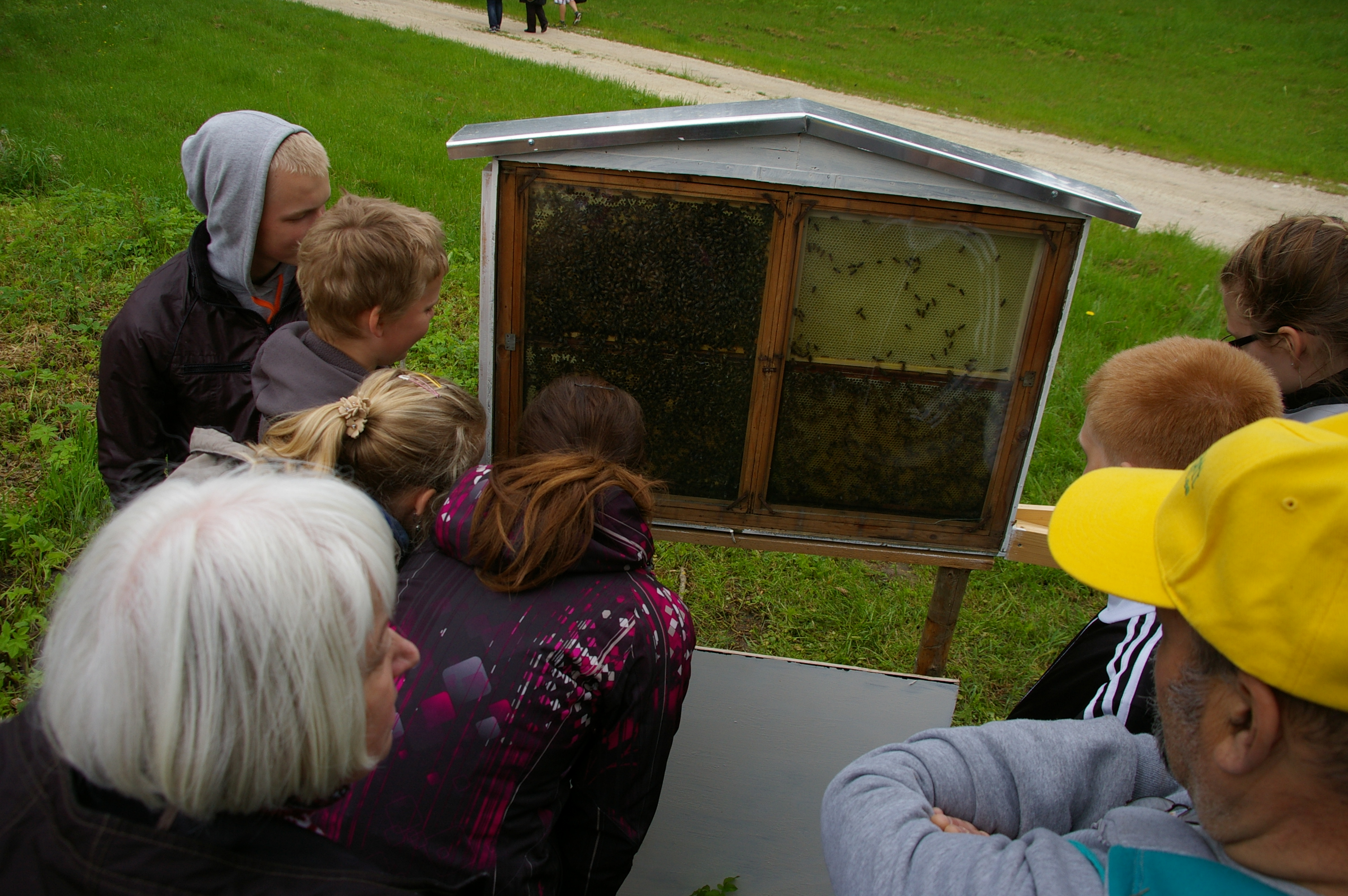 Mesilaste vaatlustaru juures