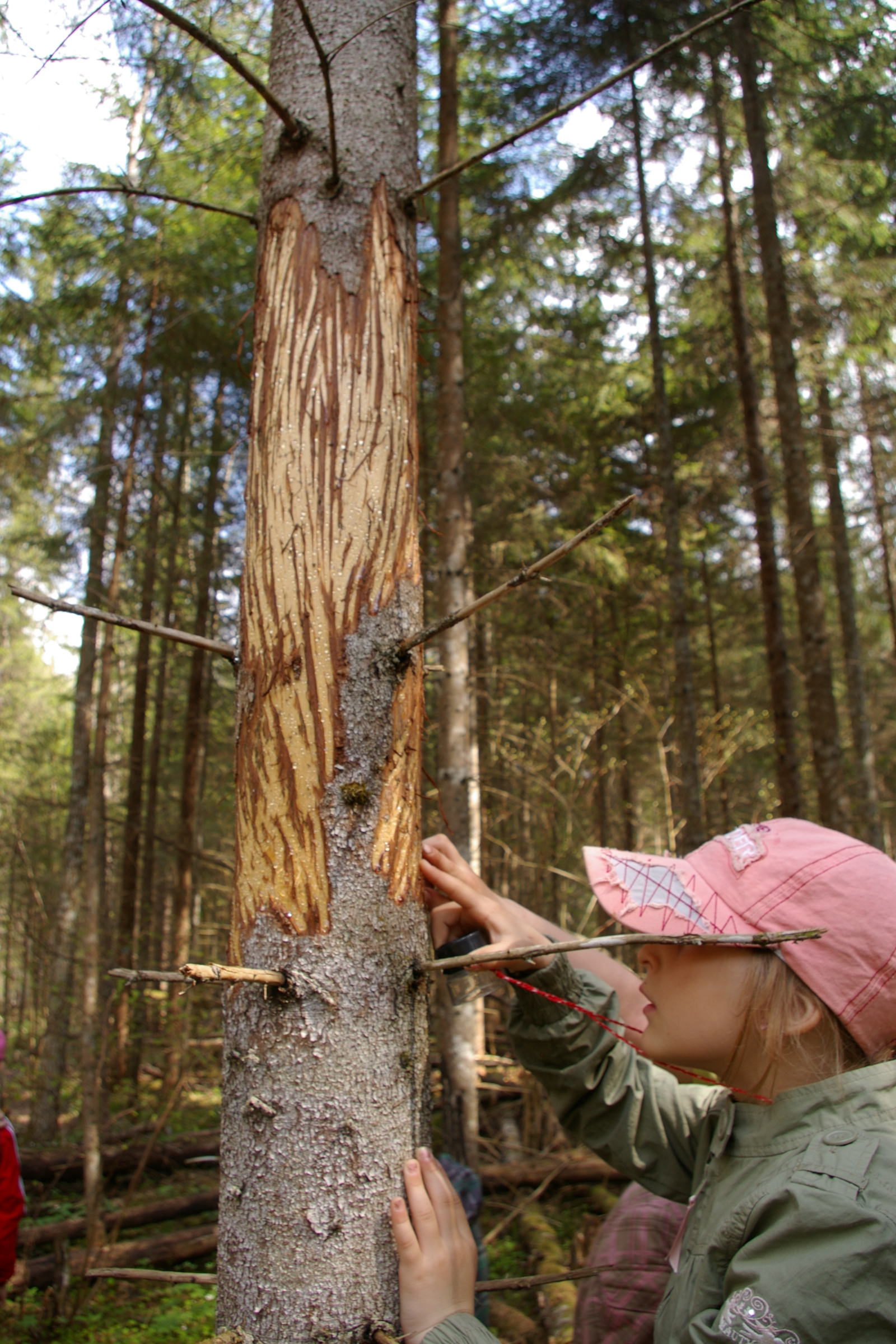 ULUKITE HOOLE JA SEIRE
