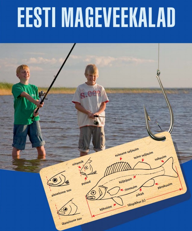 mageveekalade määrajad