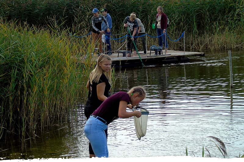 Liikide otsimine veest