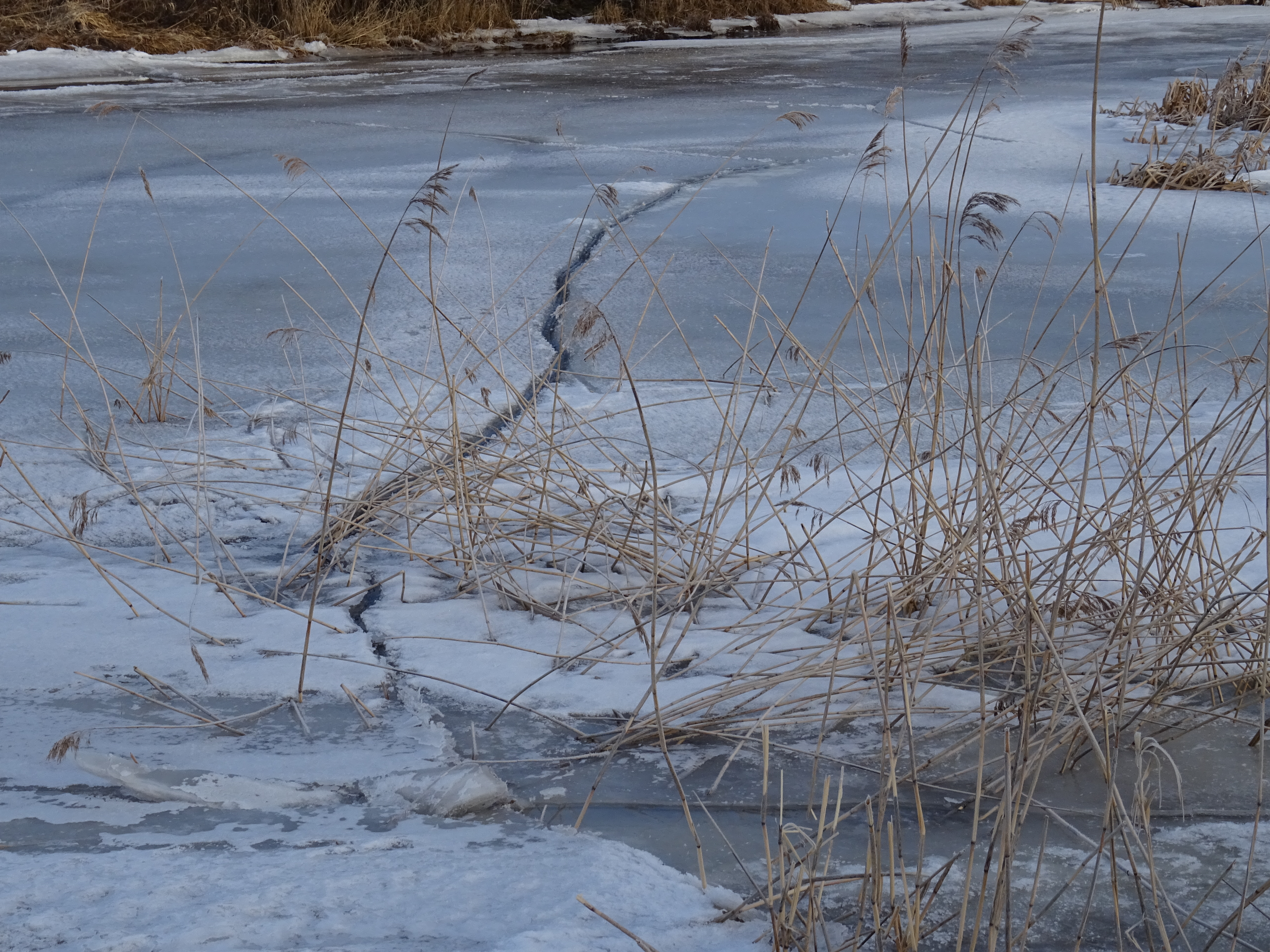 Jää pragunemine Valgejõe suudmes