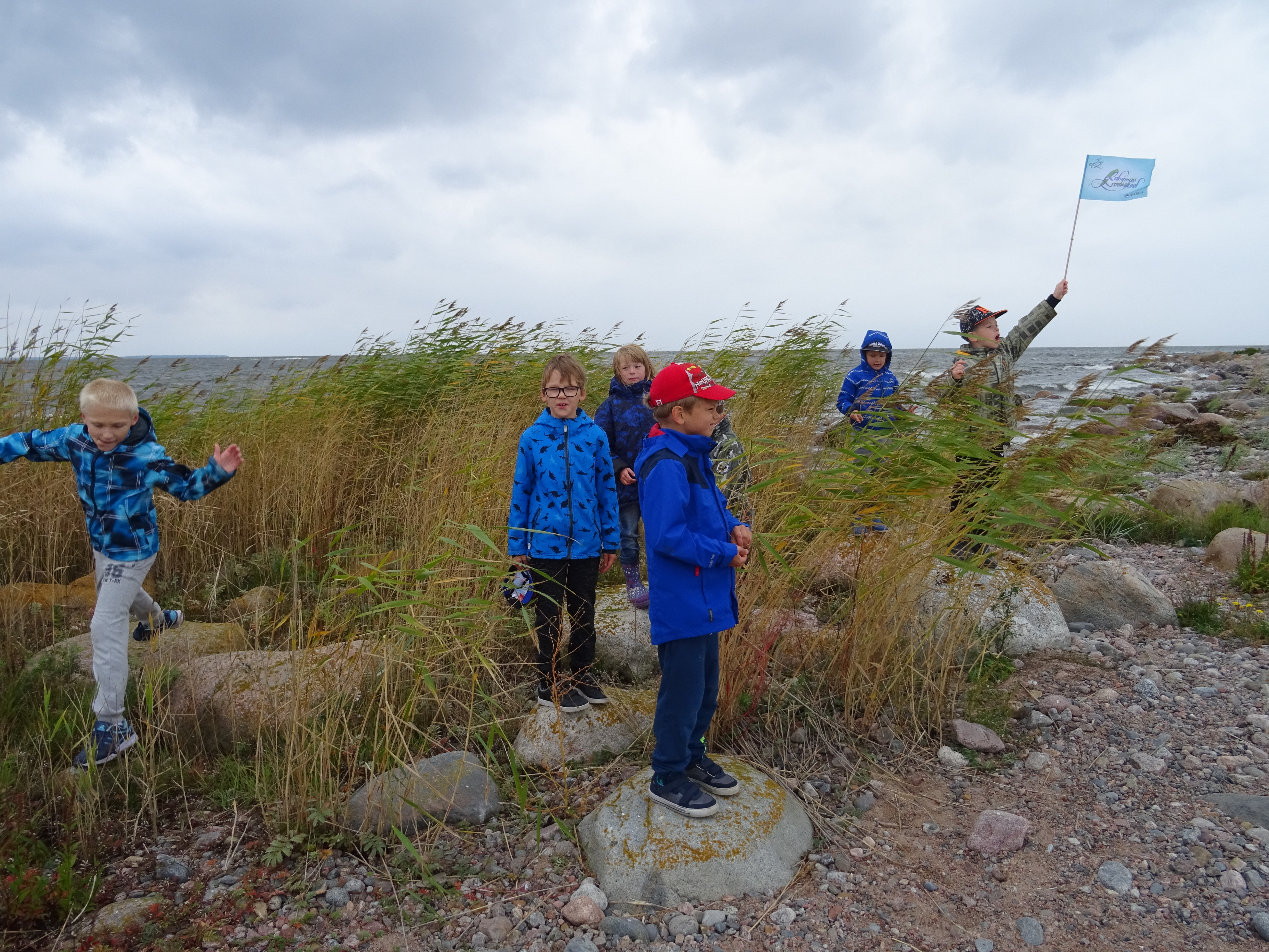 Purekkari neeme vallutamine