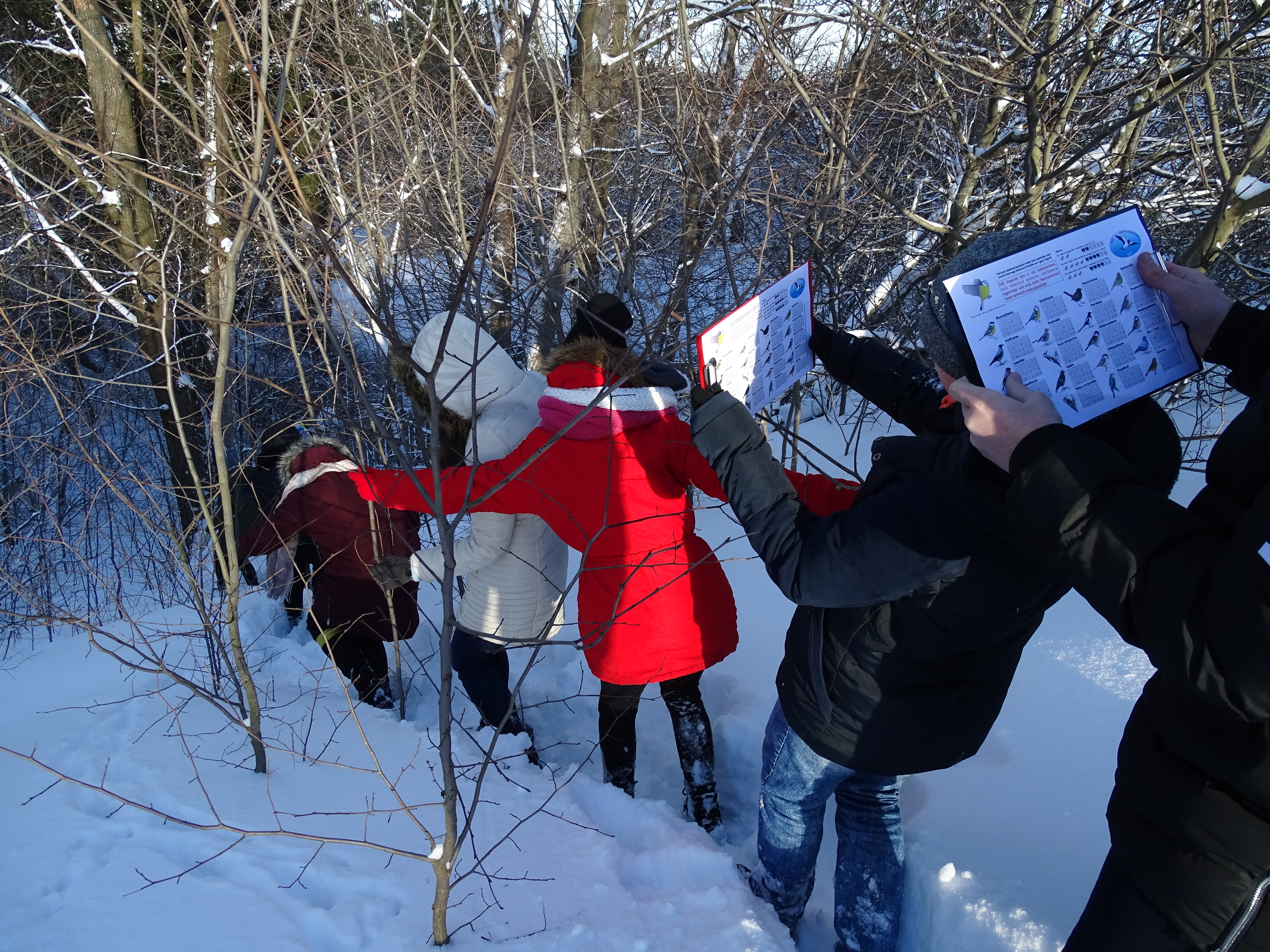 Õpilased linde otsimas