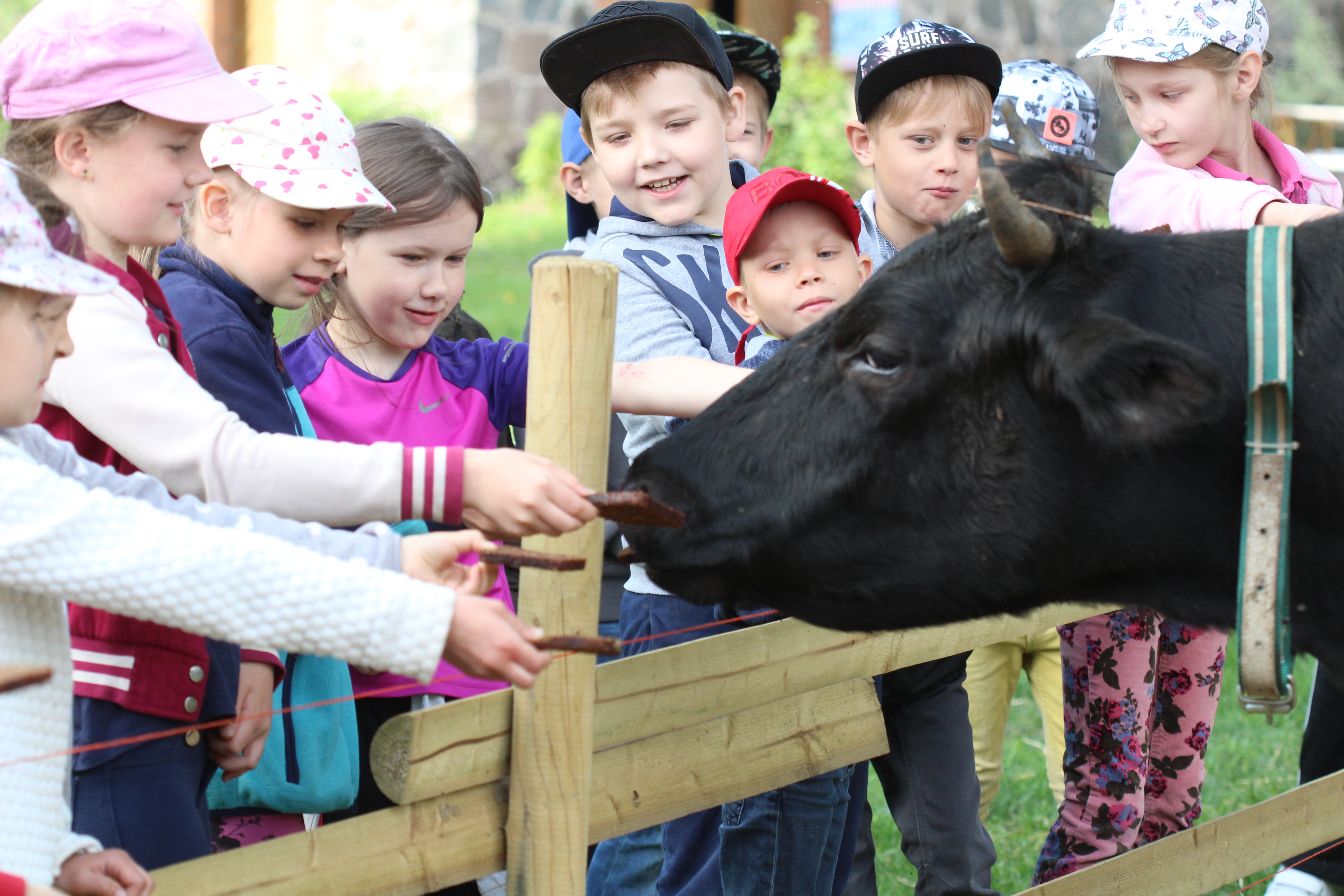 Metsaelu_talu_lapsed