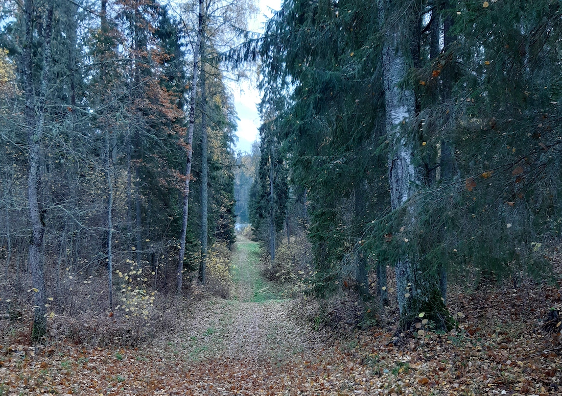 Oosilt Purgatsi järvele