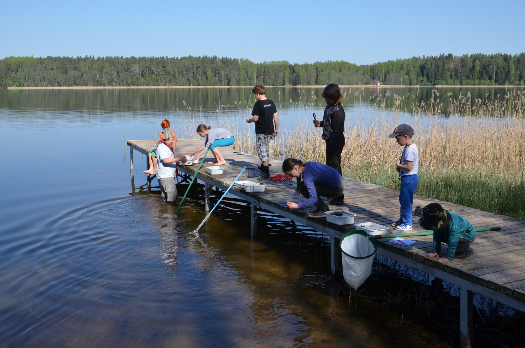 Vee-elustikku püüdmas