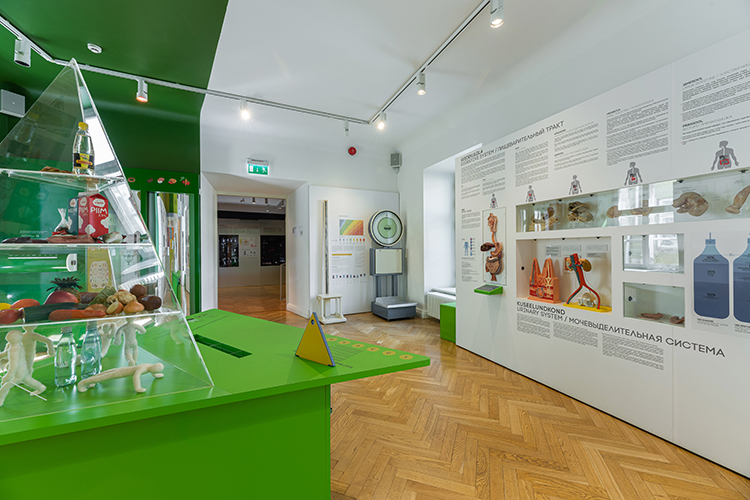 Tervisemuuseumi toitumise tuba, esiplaanil rohelisel laual asub suur toidupüramiid. Paremas servas seedeelundkonna tutvustus, kaugemal ruumis vanaaegne kaal.