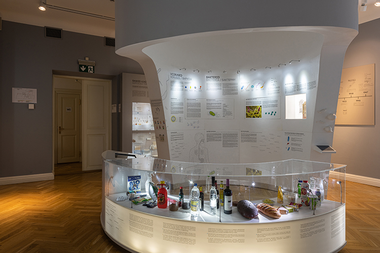 Tervisemuuseumi hügieeni teematuba, esiplaanil vitriinis bakterite abil valmistatud toiduained, taustal valel seina info viiruste ja bakterite kohta.