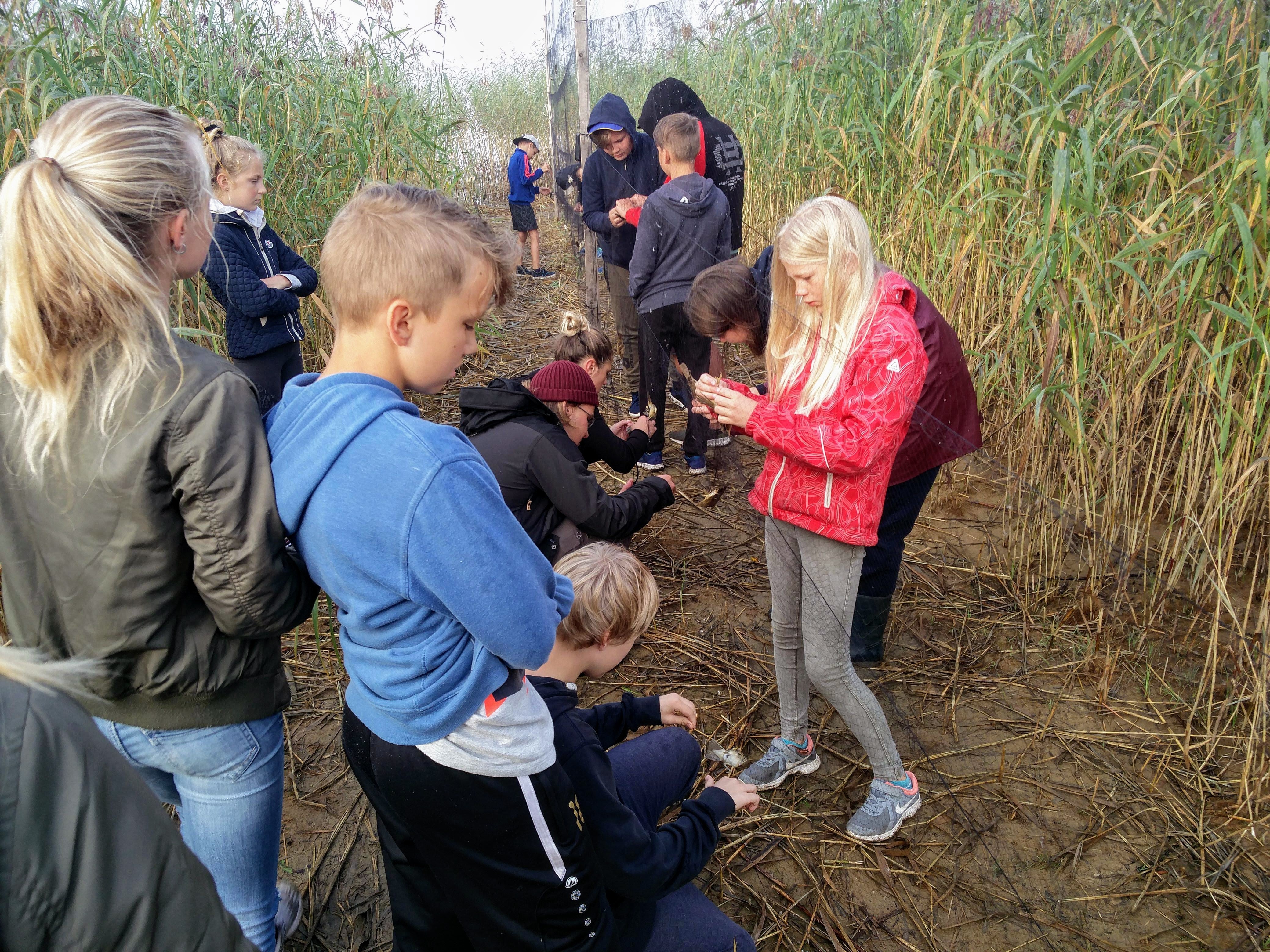 Loorvõrkude kontrollimine