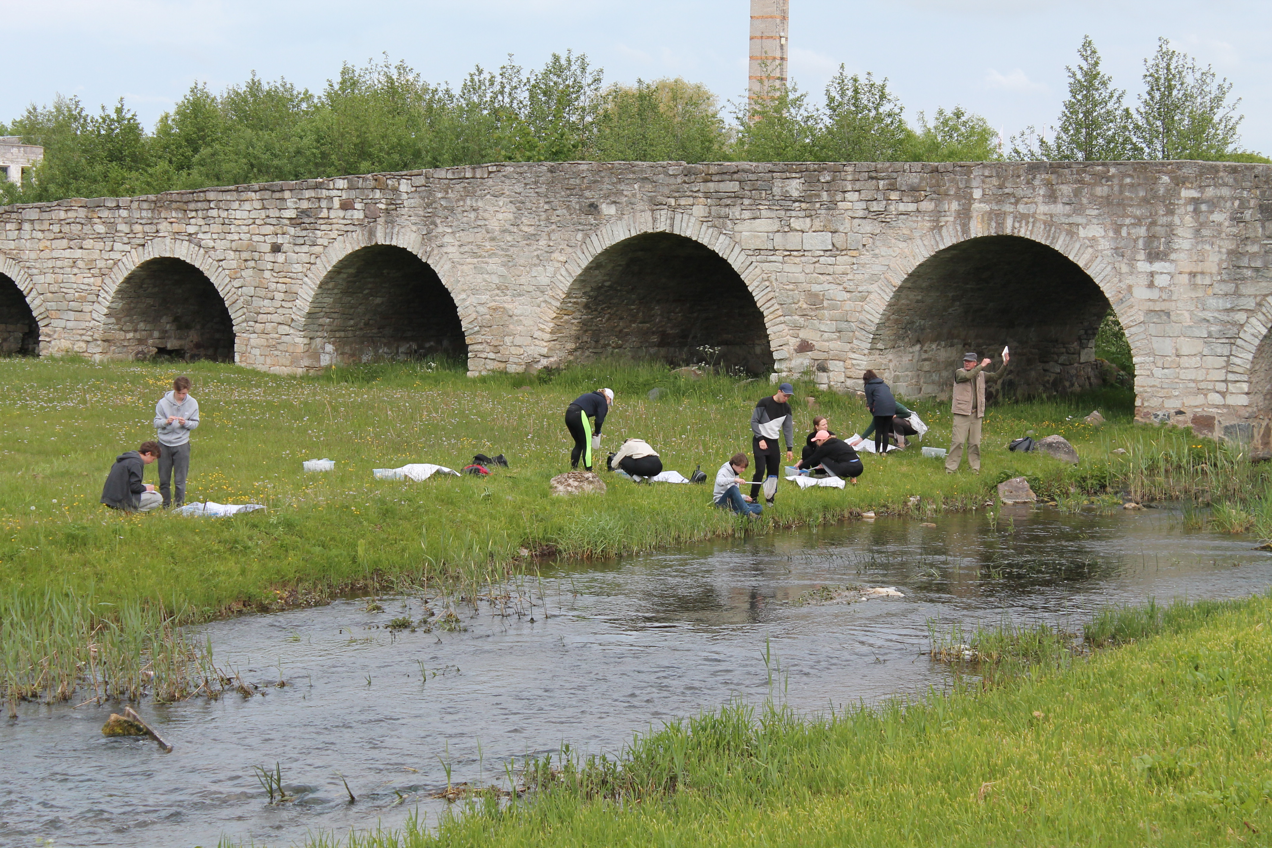 Suuresillal vee-elustiku uurimine