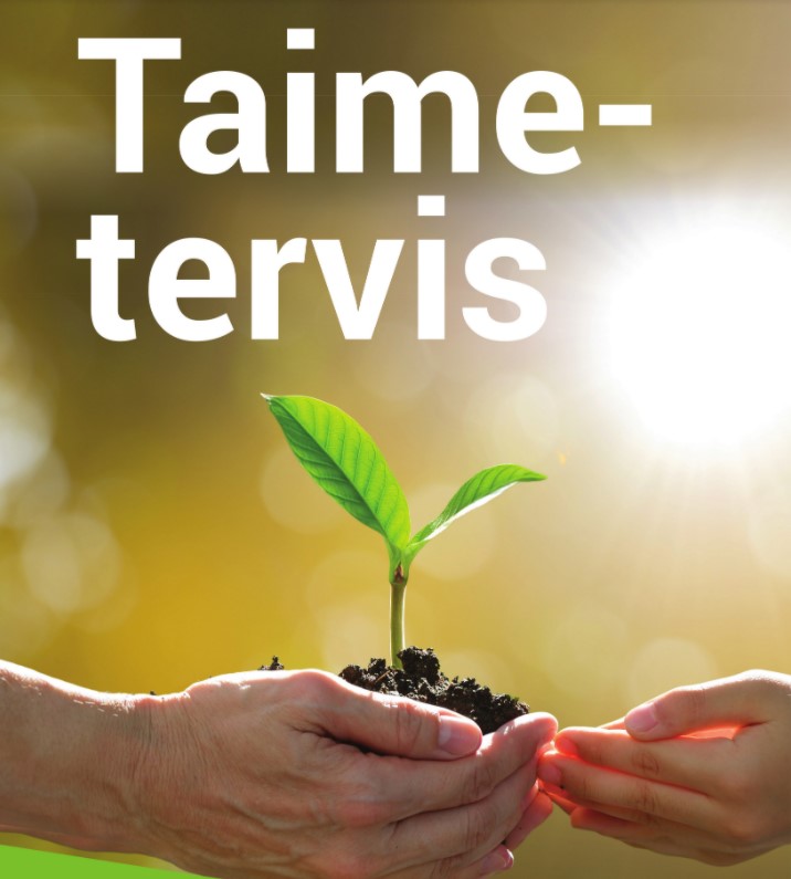 taimetervis