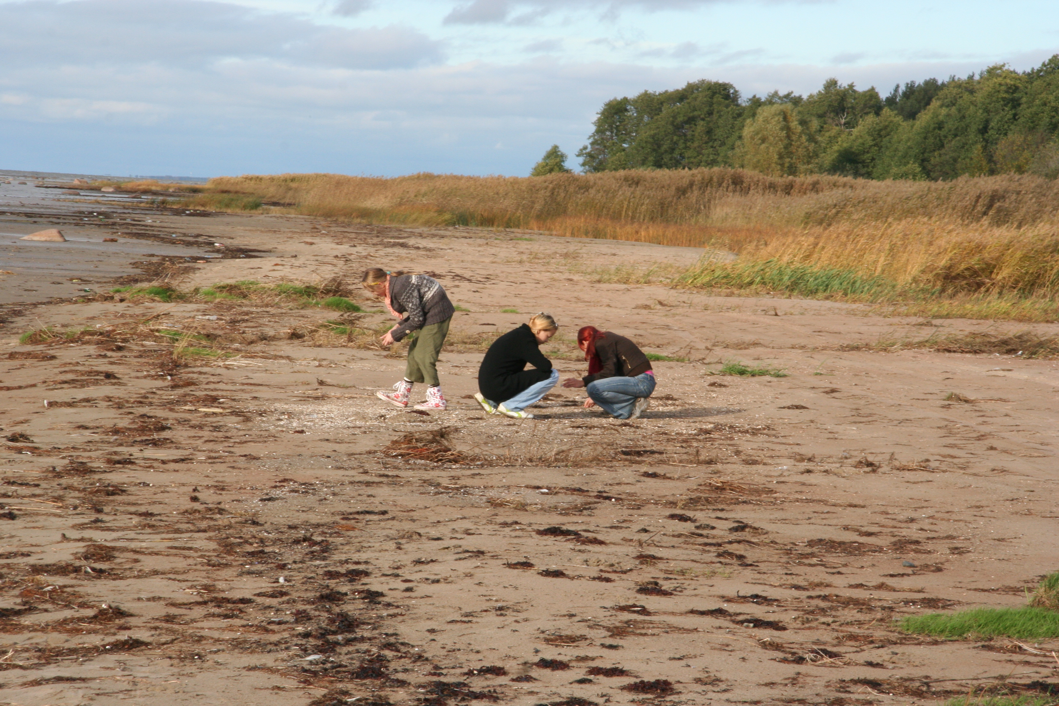 rannikuvaatlus