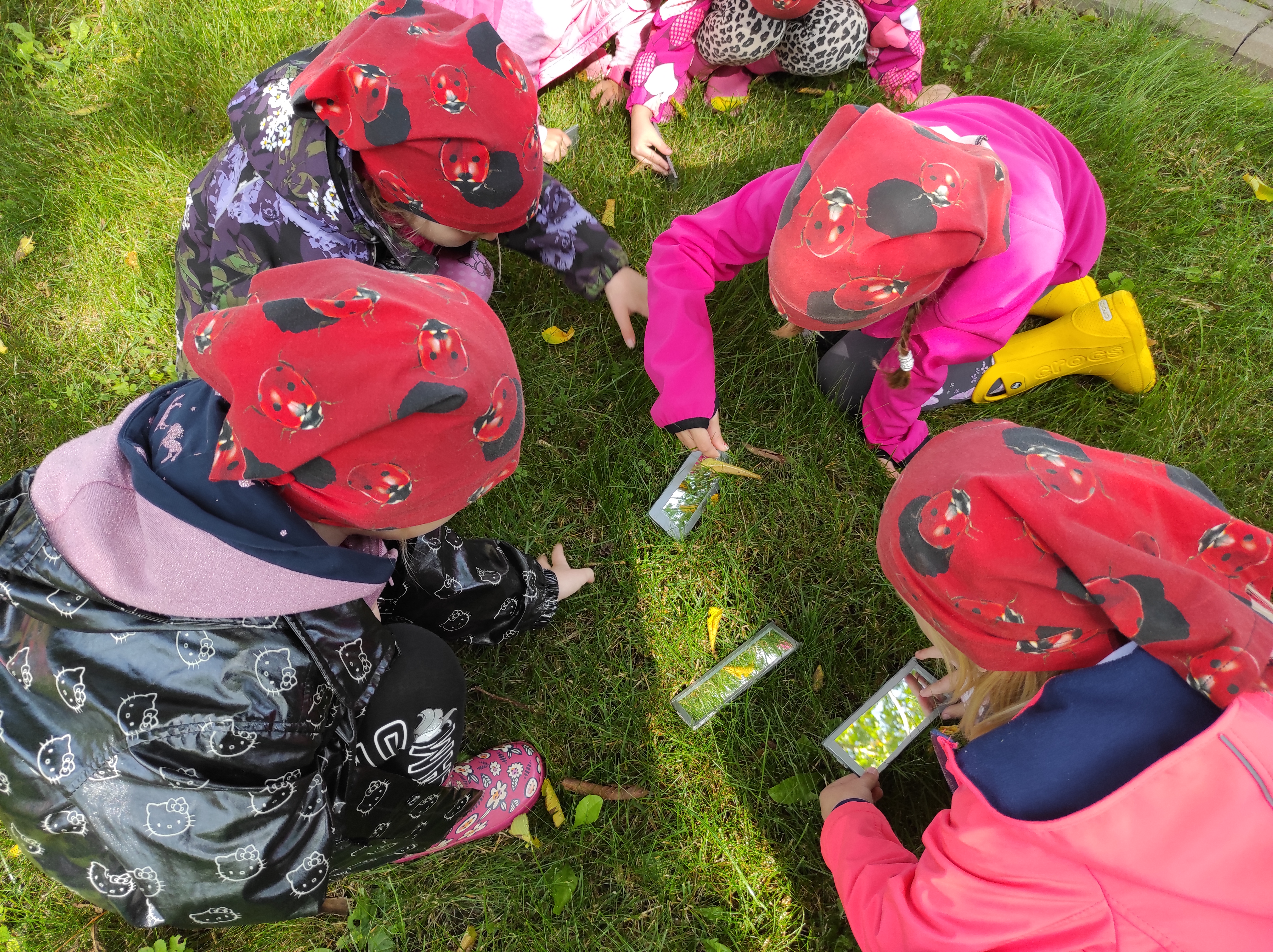 Meeled aitavad loodust avastada ja uurida