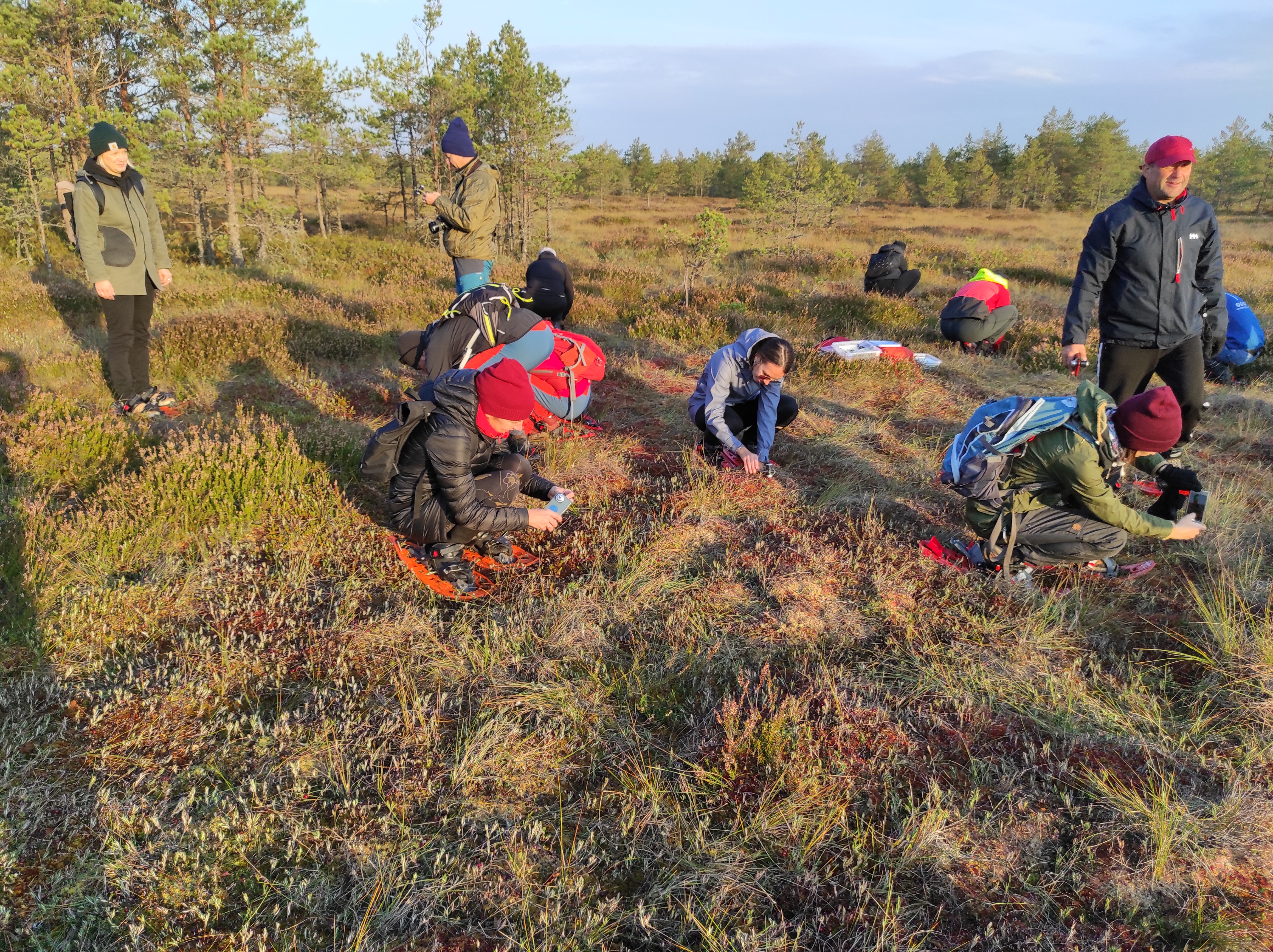 Soos loodust uurimas