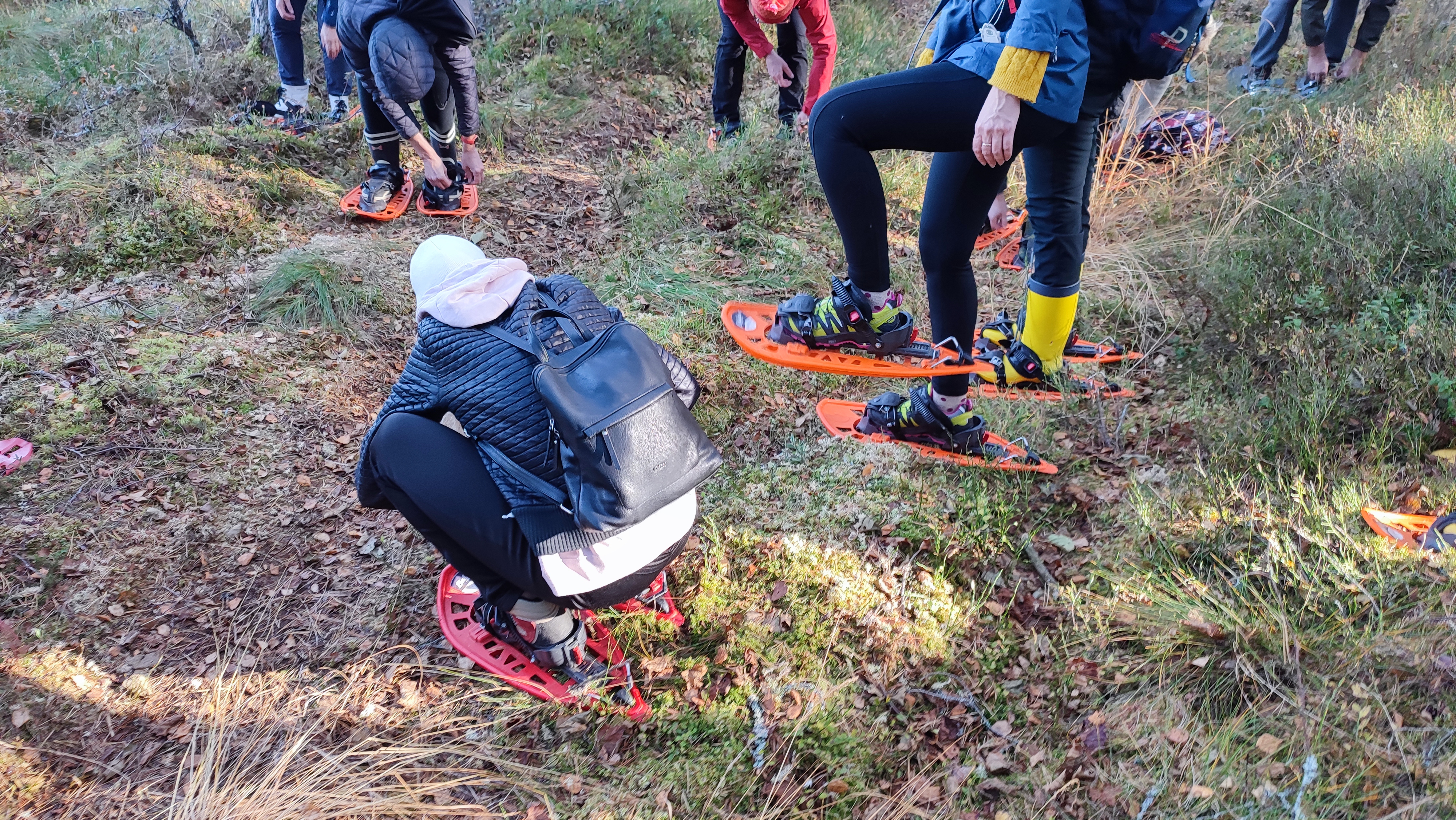 Loodust uurimas soos