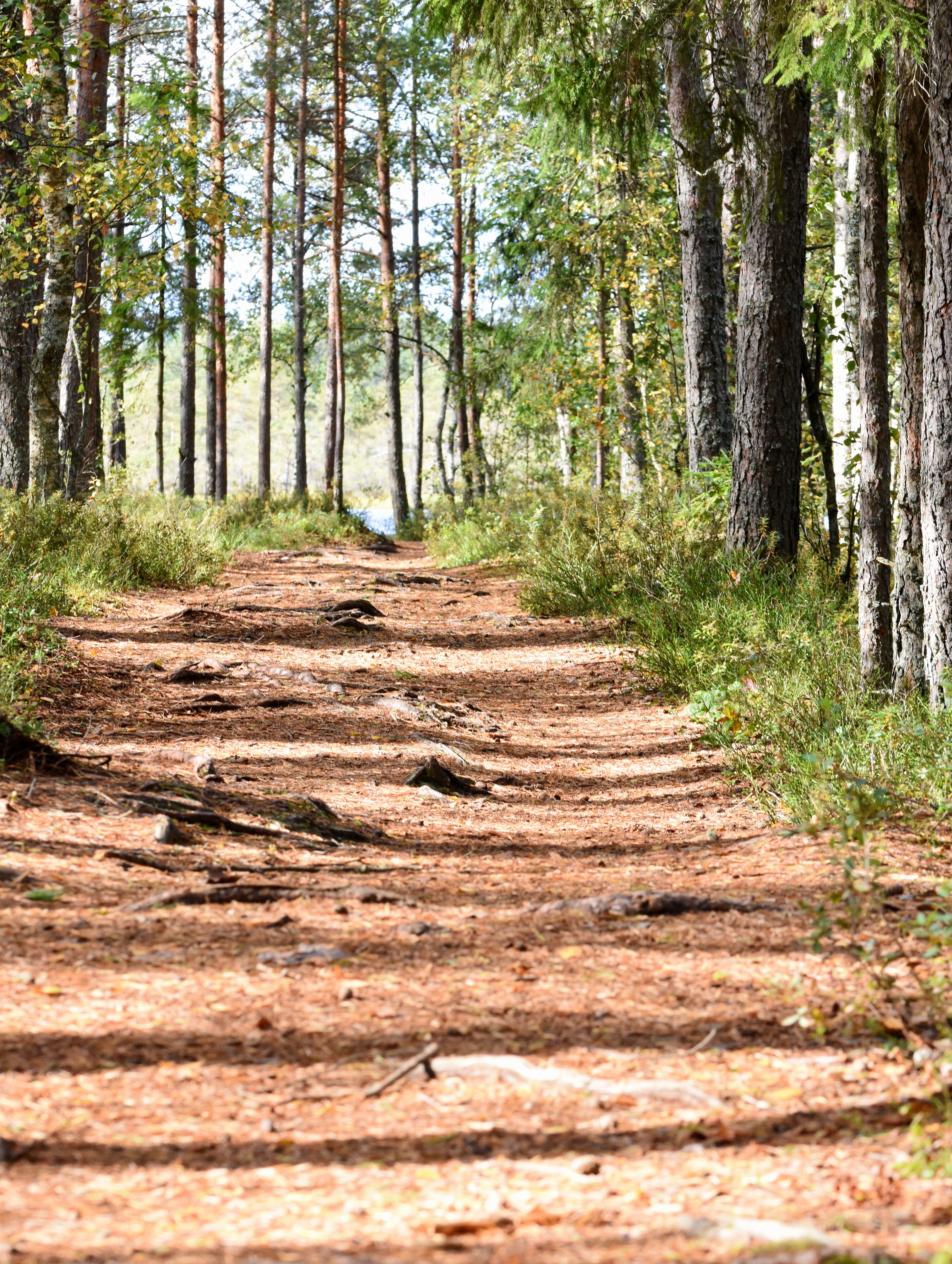 Kõnnu järve matkarada
