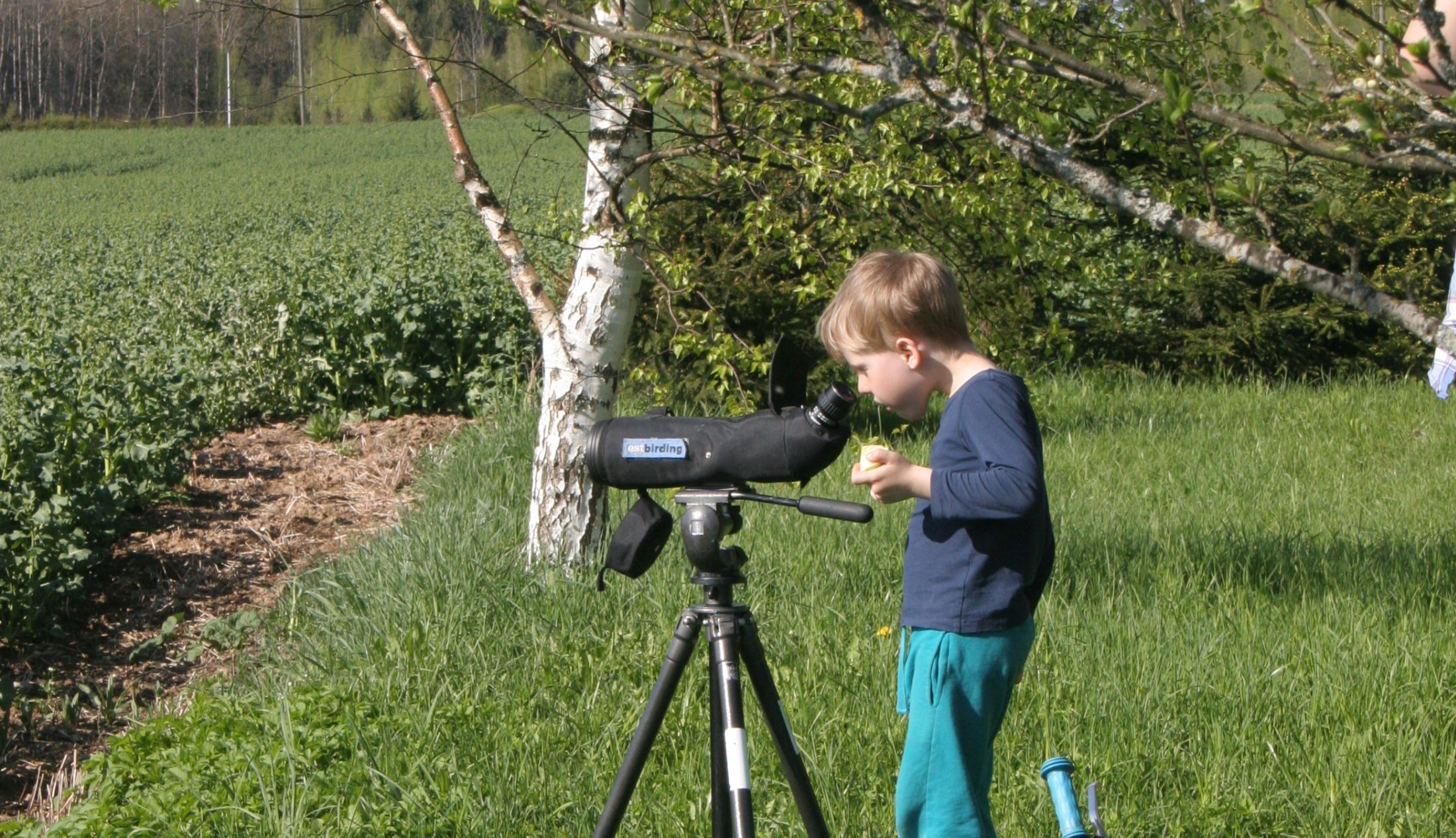 Linnuvaatleja linnuhommik