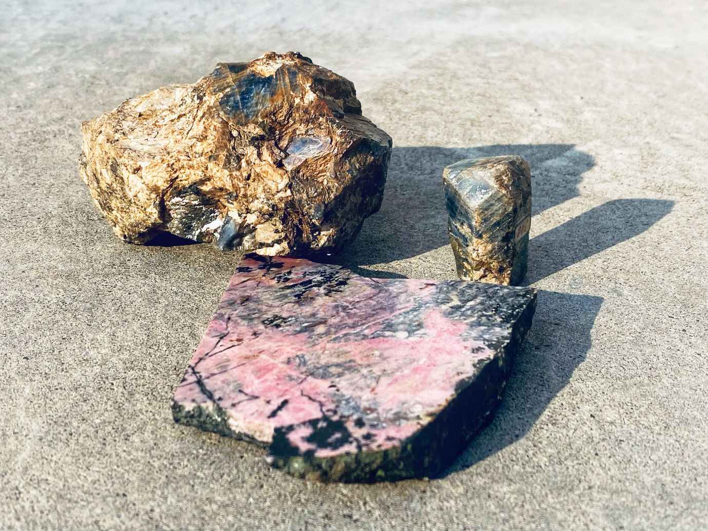 akadeemilise pärandi päev