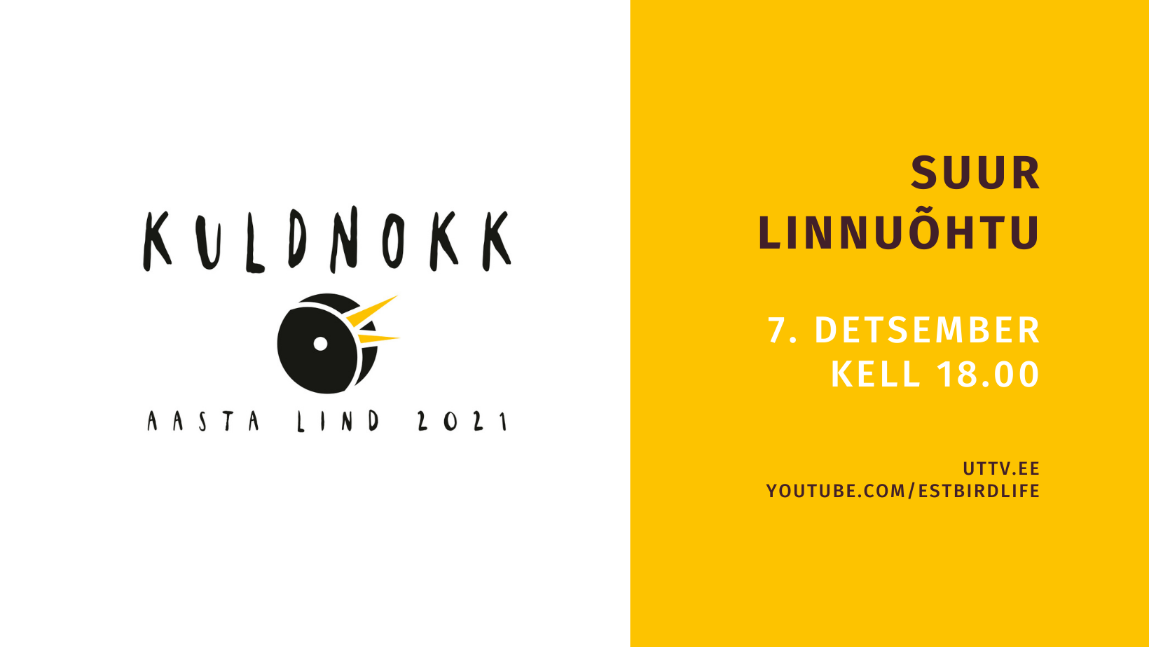 Pildi vasakul pool on valgel taustal kuldnoka pea, paremal pool kollasel taustal tekstid