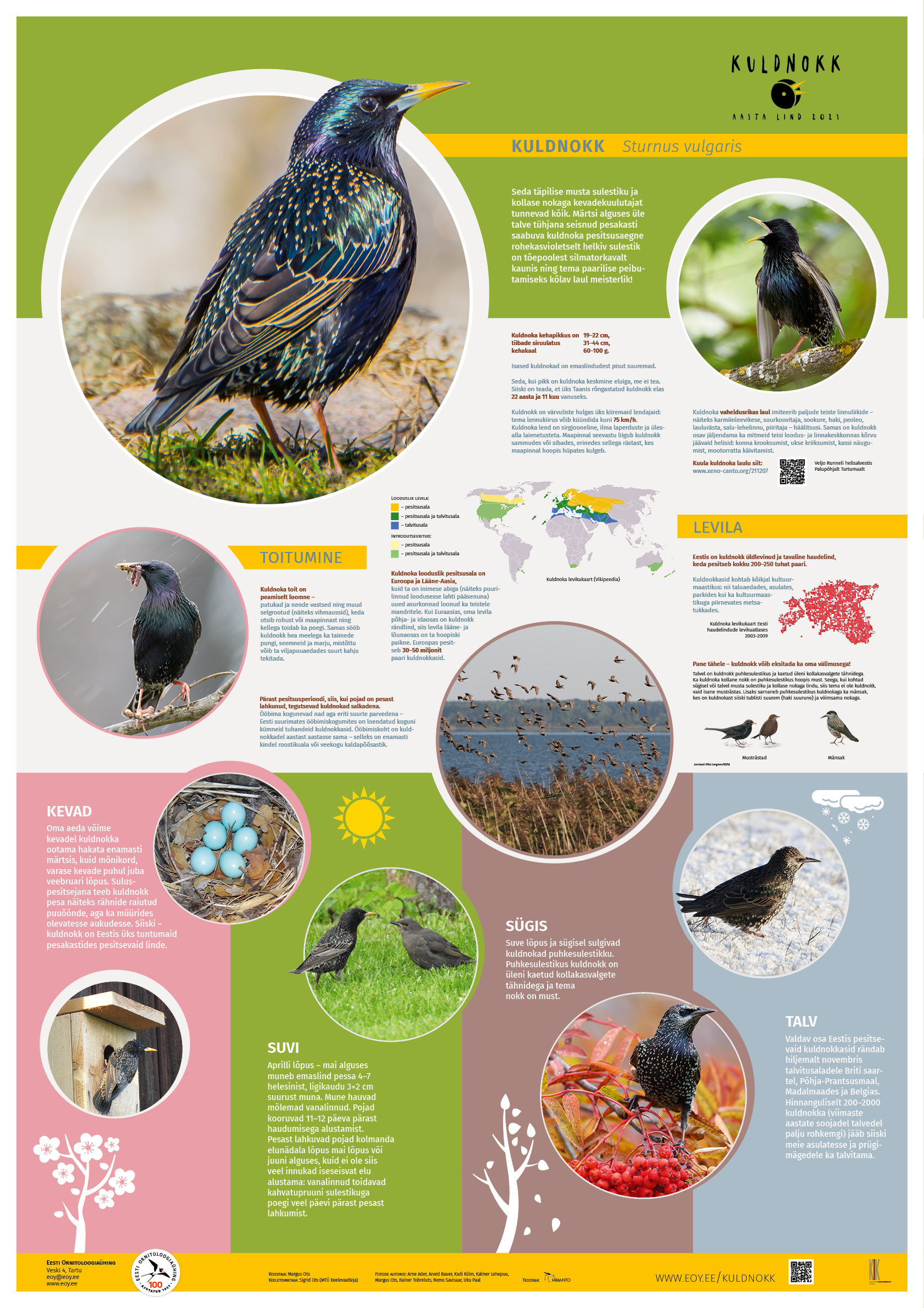 Plakat piltide ja tekstidega