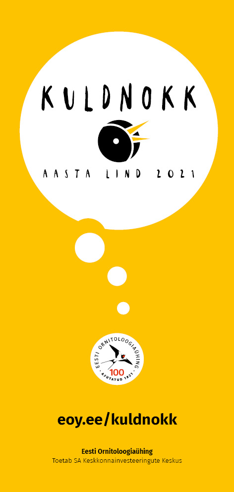 Kollasel taustal kaks joonist ja tekst.