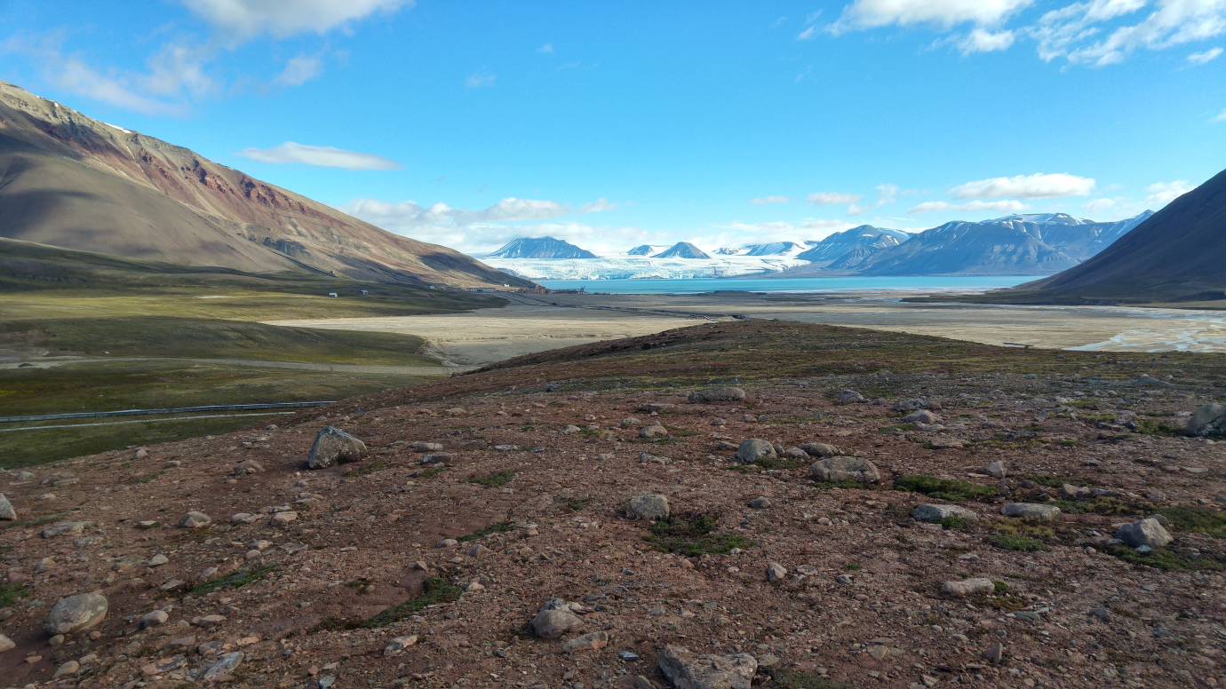 Teravmäed Foto: Tormi Tuuling