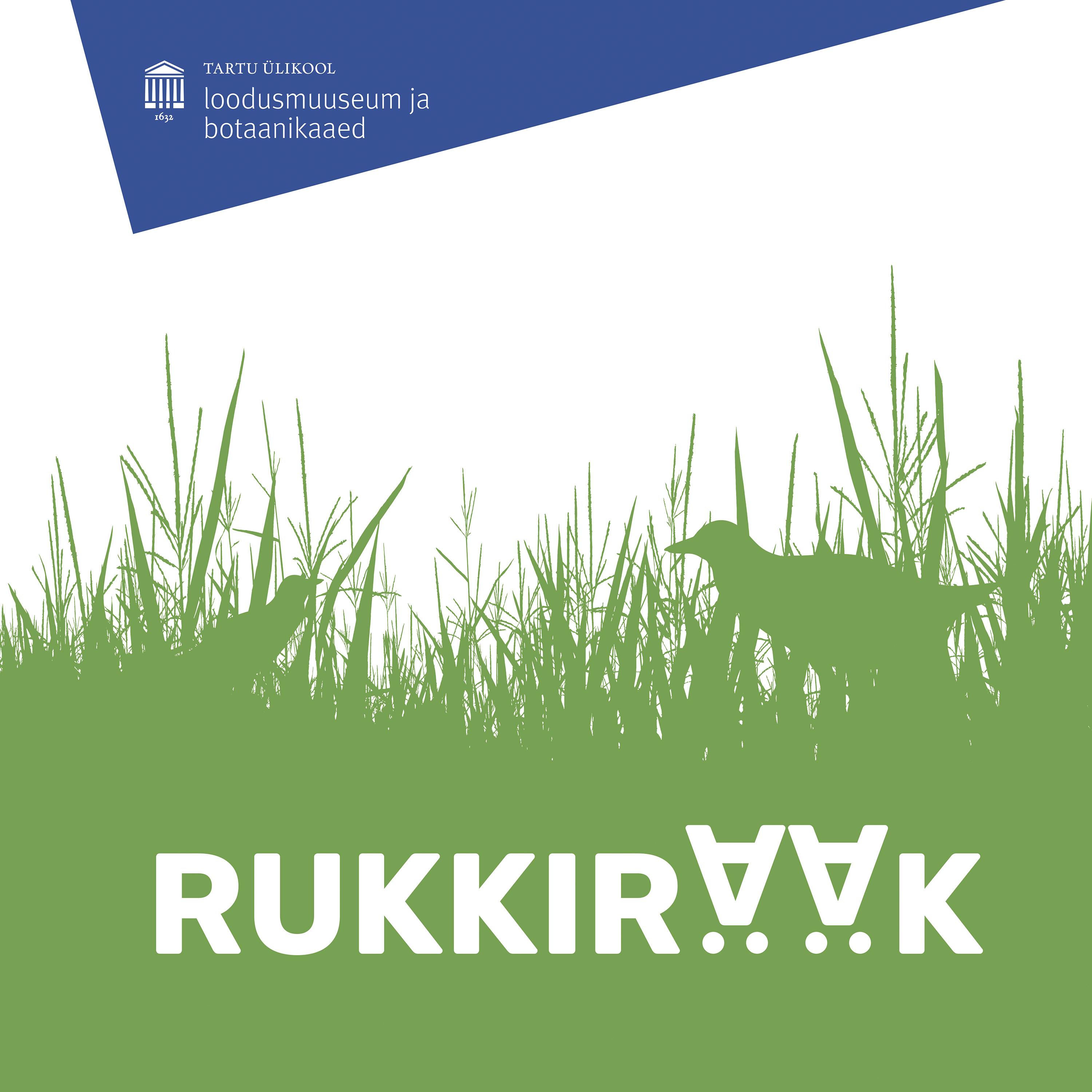 Rukkirääk