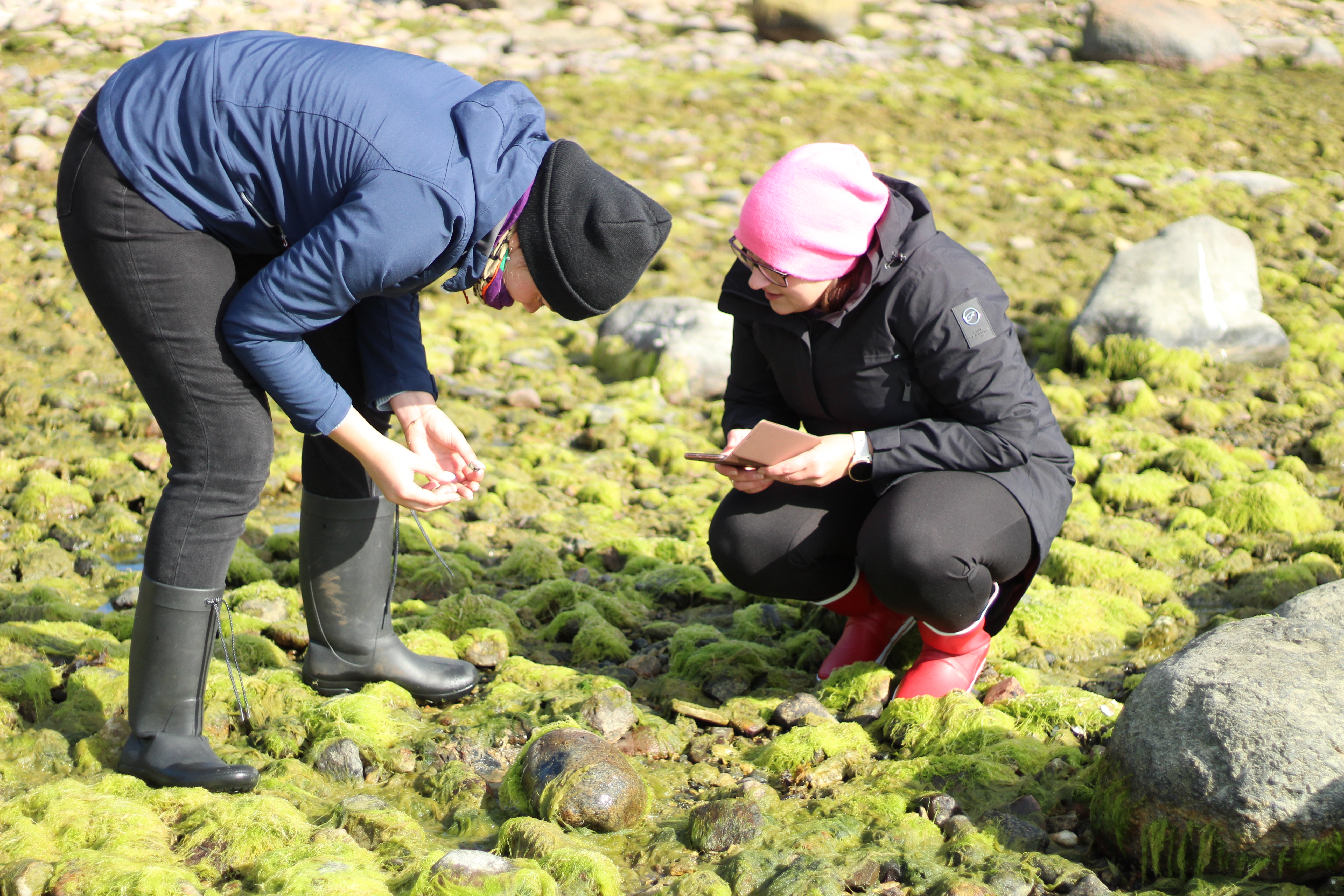 loodusvaatlused käimas