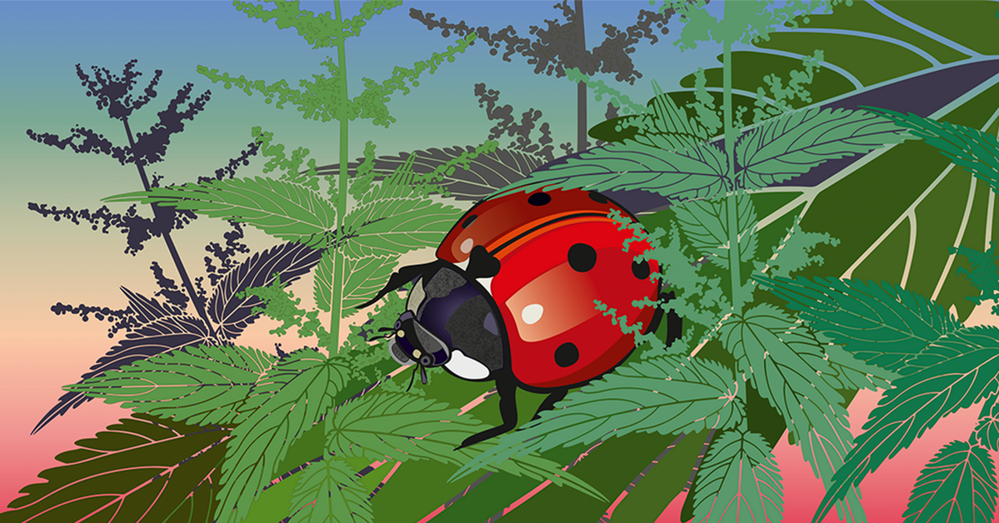 Loodusvaatluste visuaal