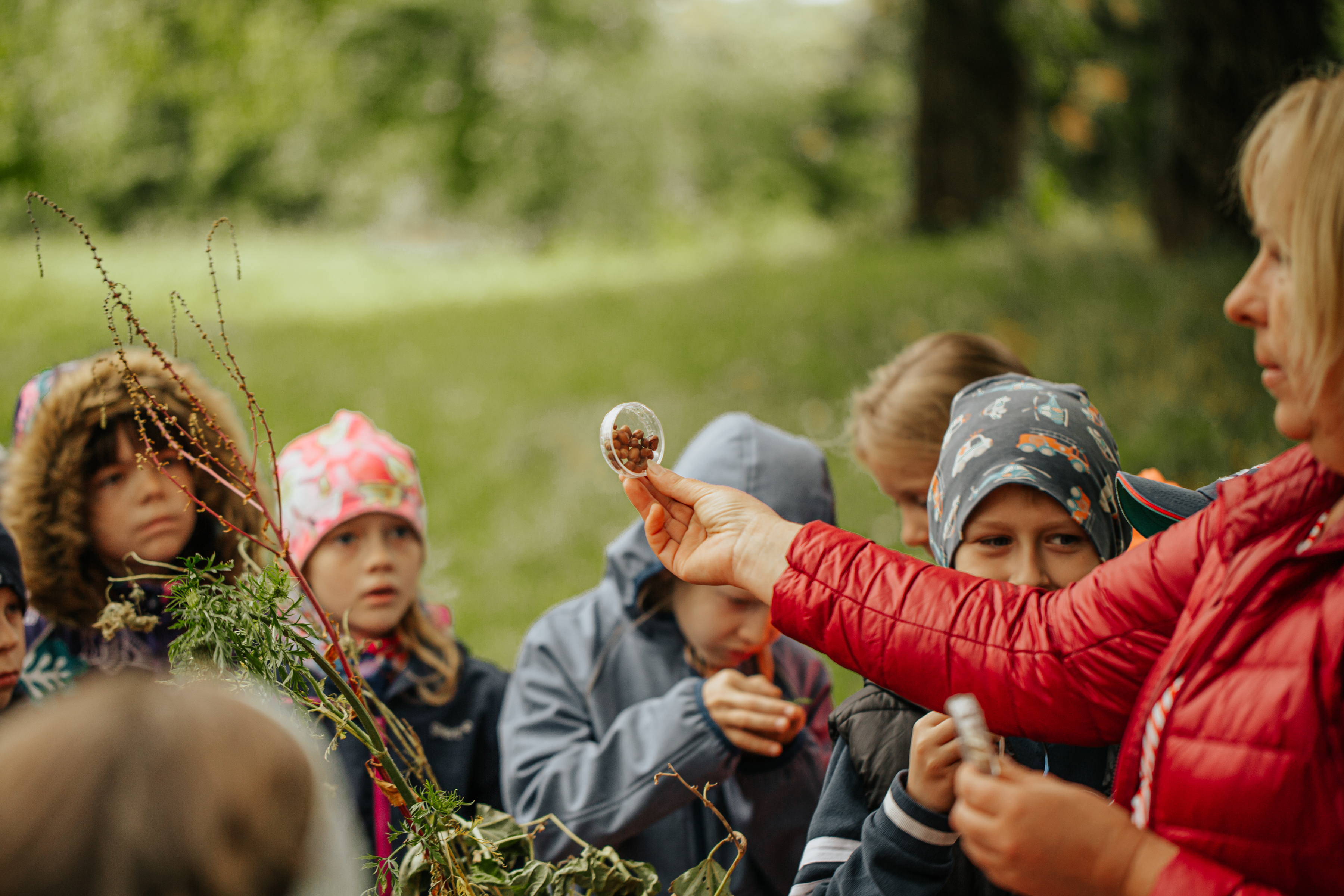 seemne näitamine lastele