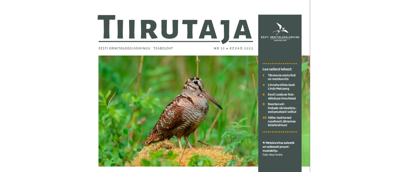 Teabelehe esikaane ülemine osa, päises on tekst Tiirutaja, selle all foto metskurvitsast.