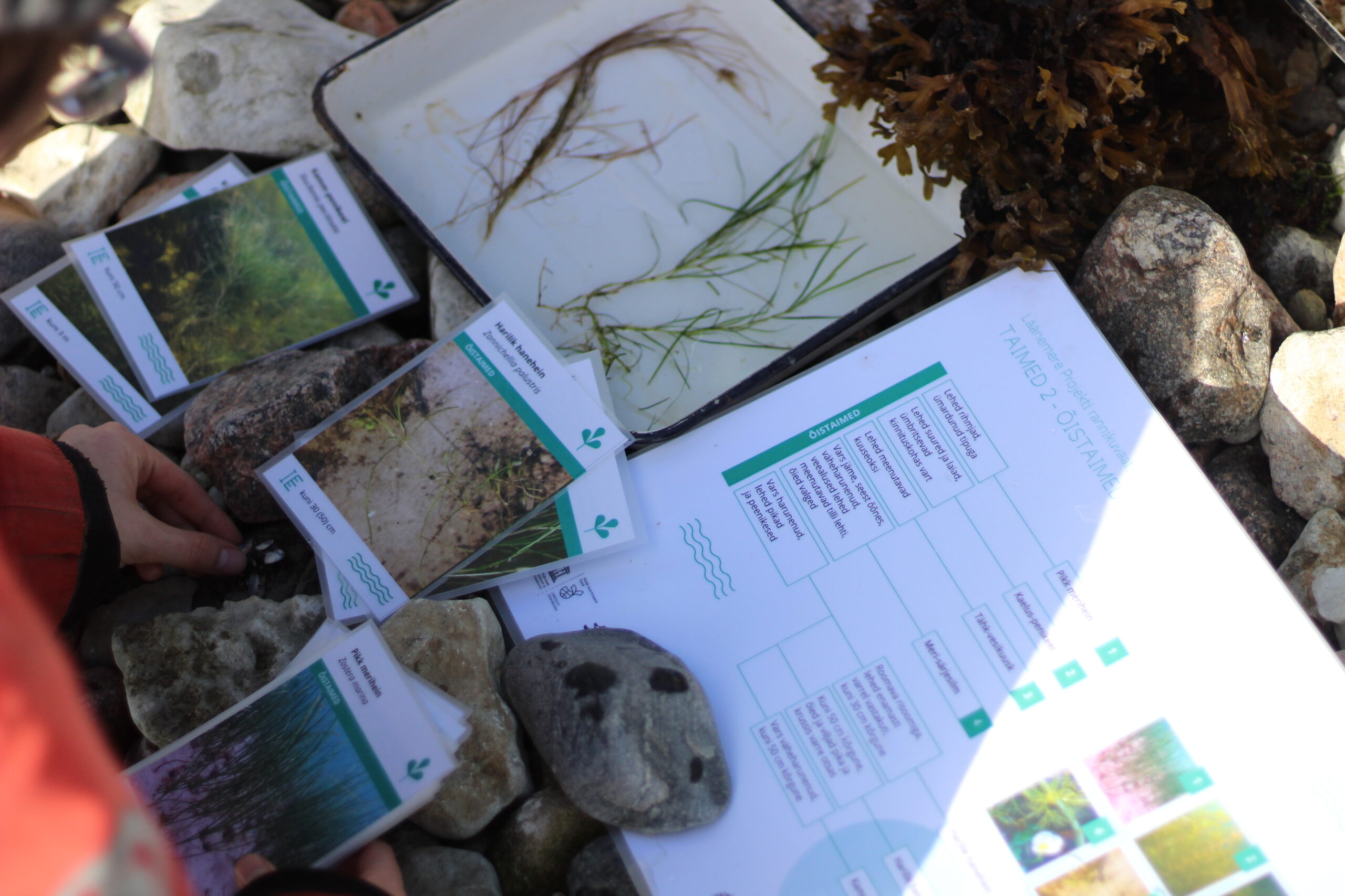 rannikuvaatluste määramiskomplekt