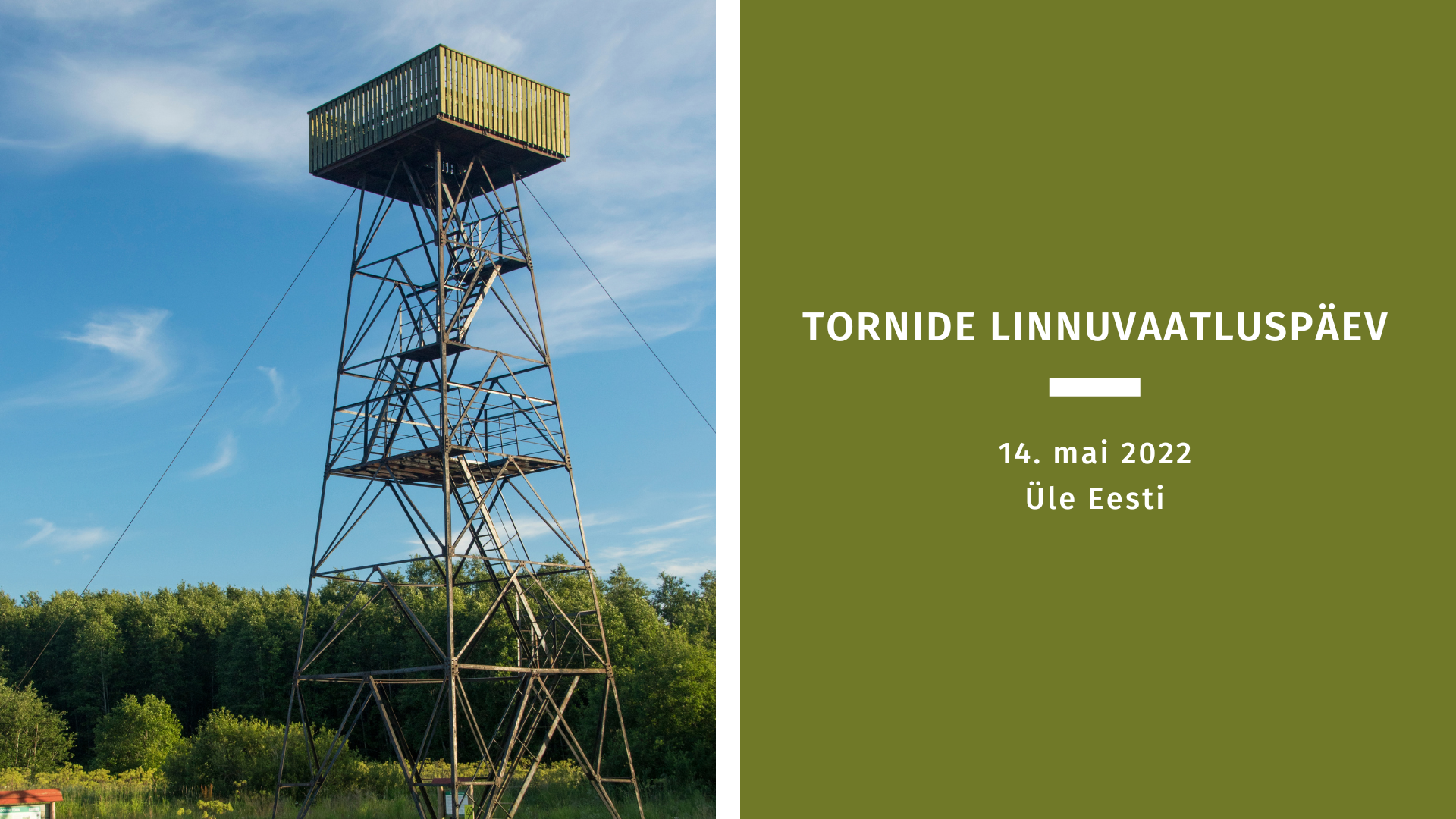 Vasakul pool on foto vaatetornist, paremal pool rohelisel taustal hele tekst.