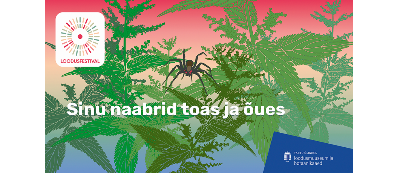 Joonistatud pildil on must ämblik nõgesetaimede peal