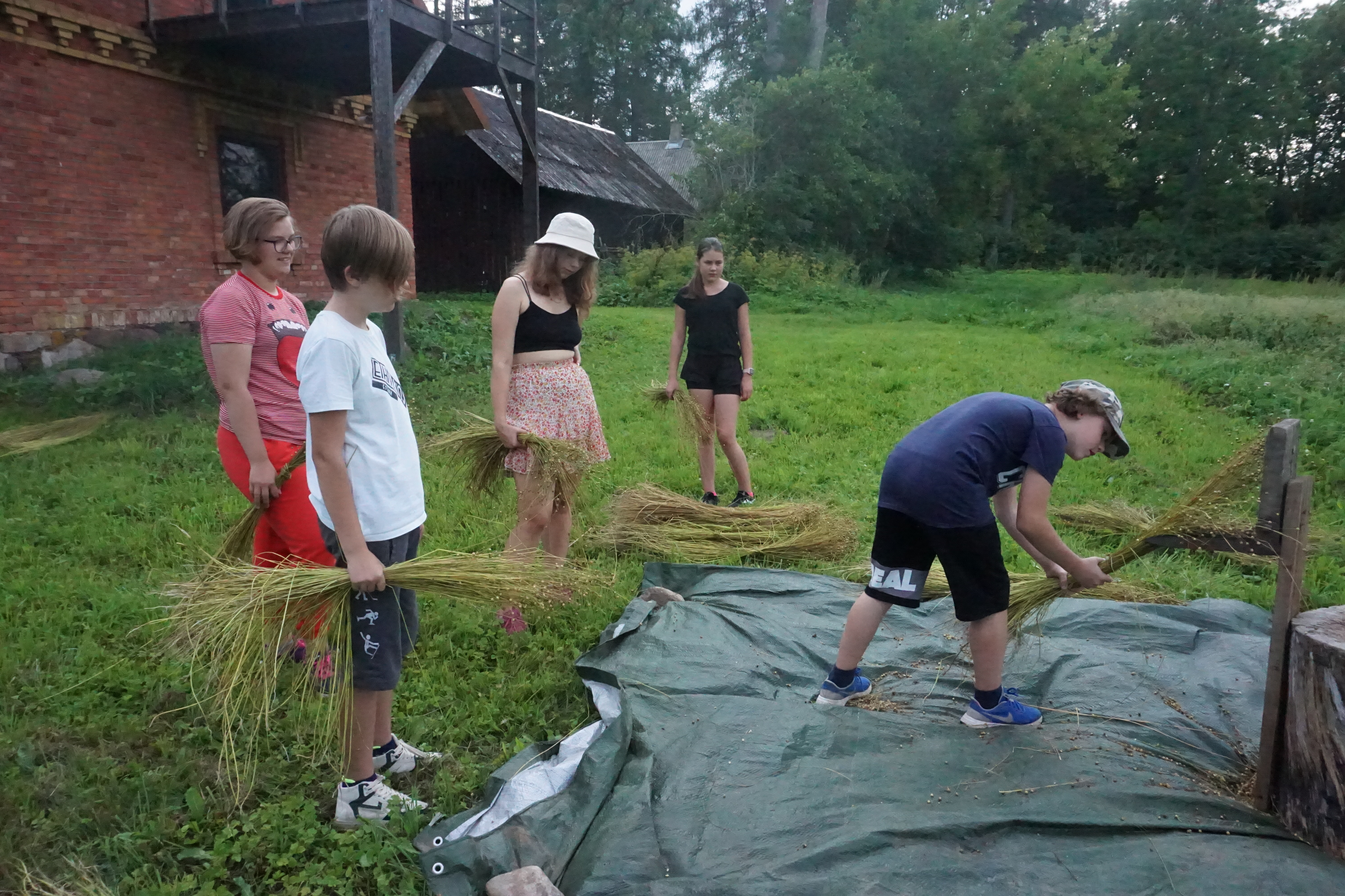 Lina raatsimine ehk kupardamine