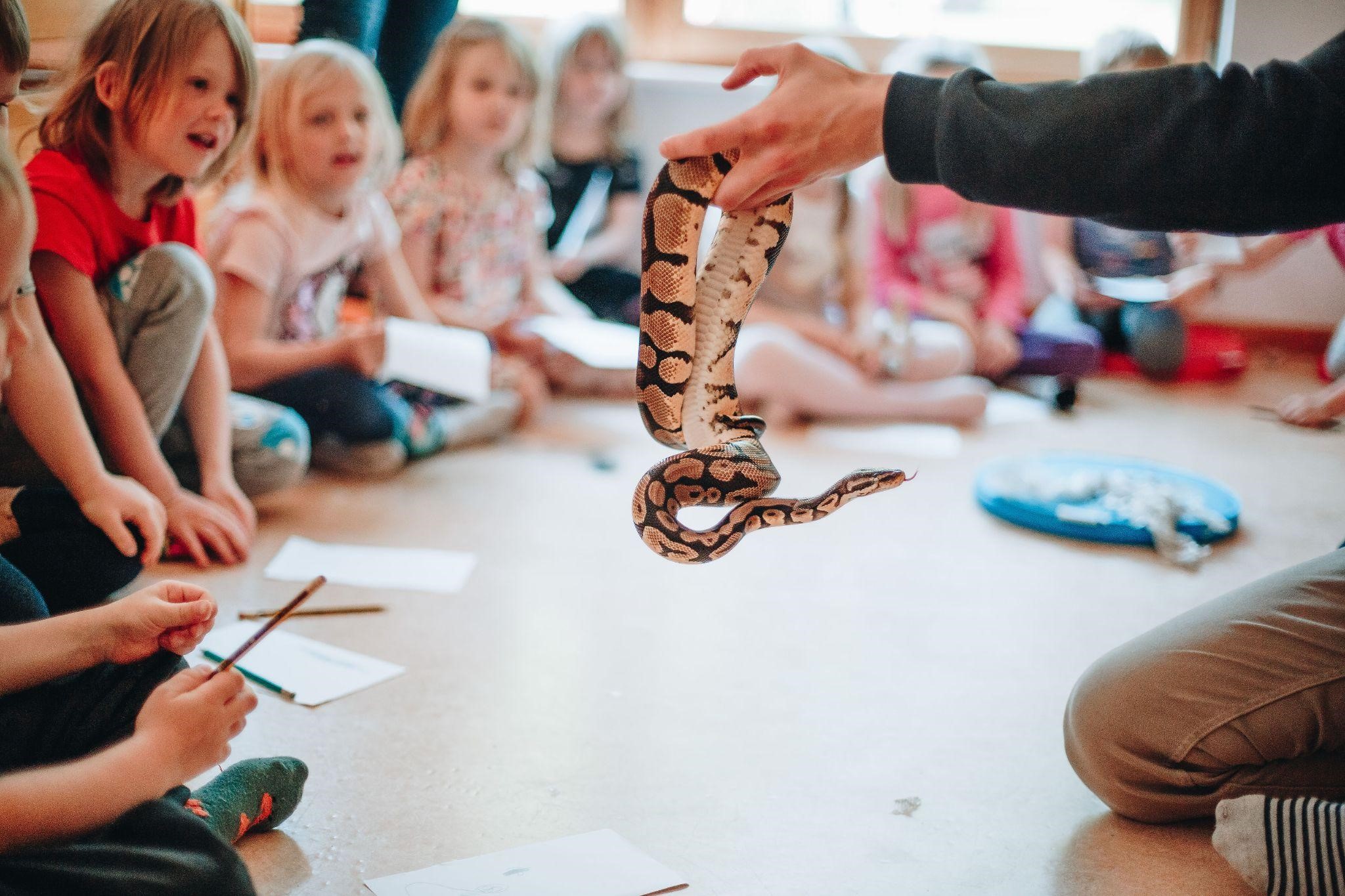 Selgroogsete õppeprogramm lasteaialastele