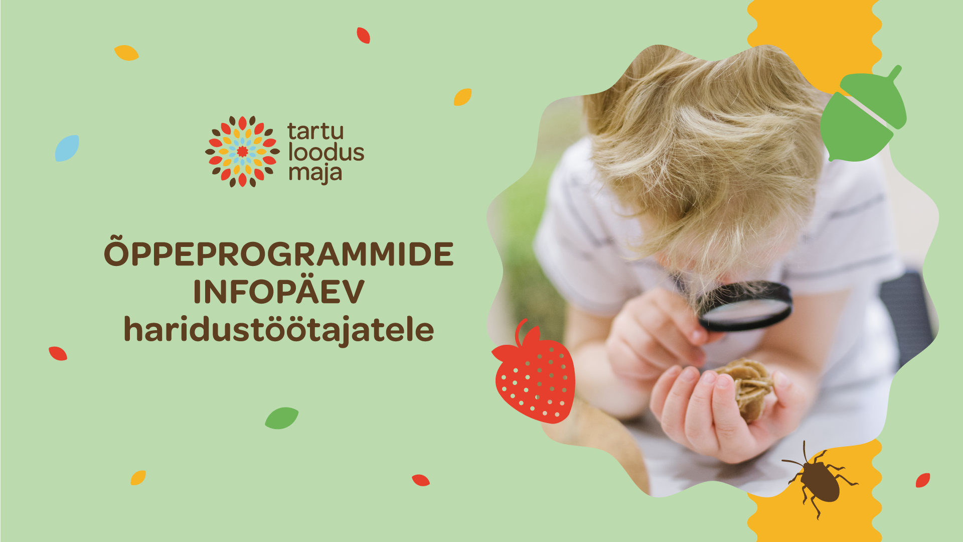 õppeprogrammid