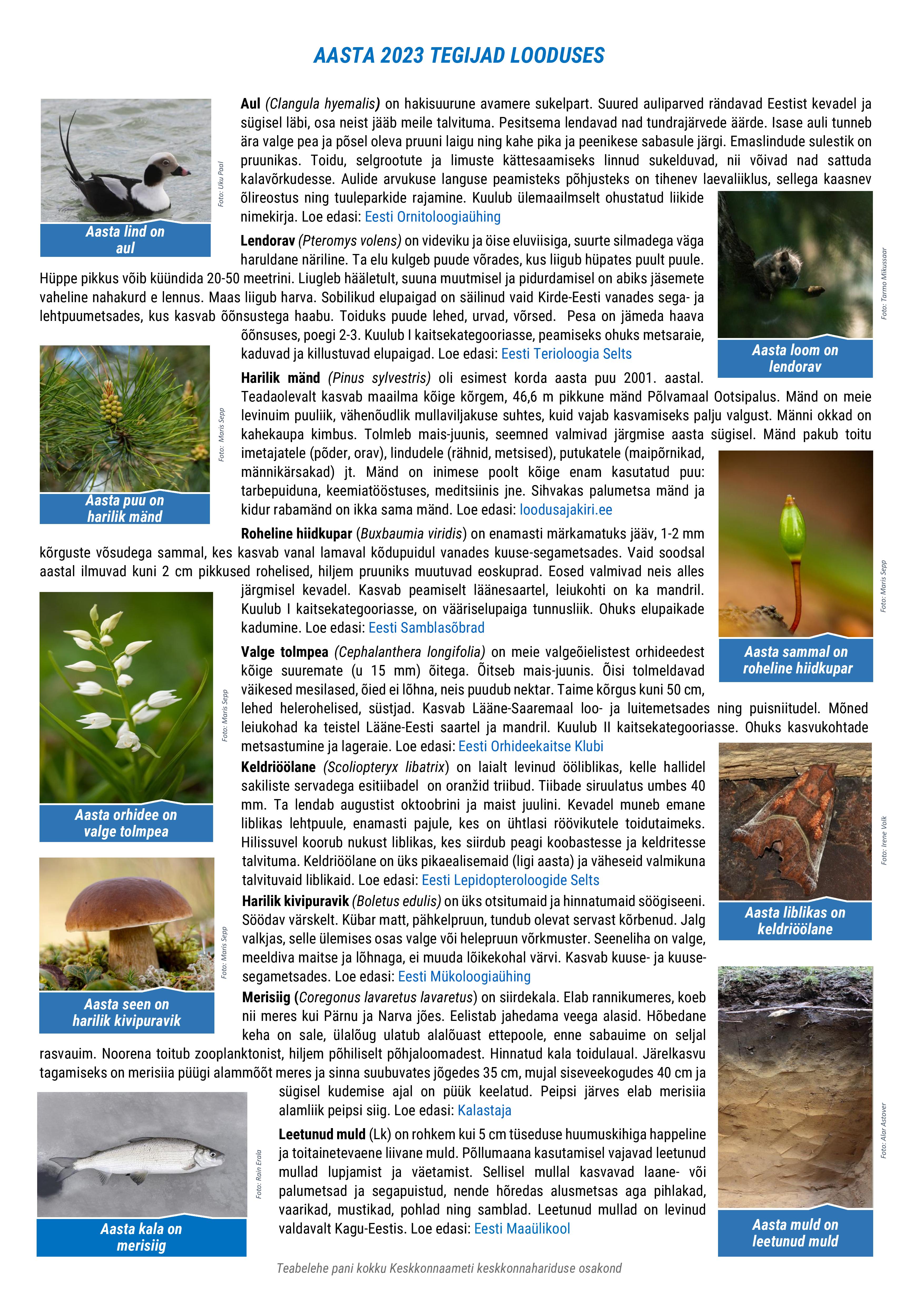 aasta tegijad looduses 20223plakat