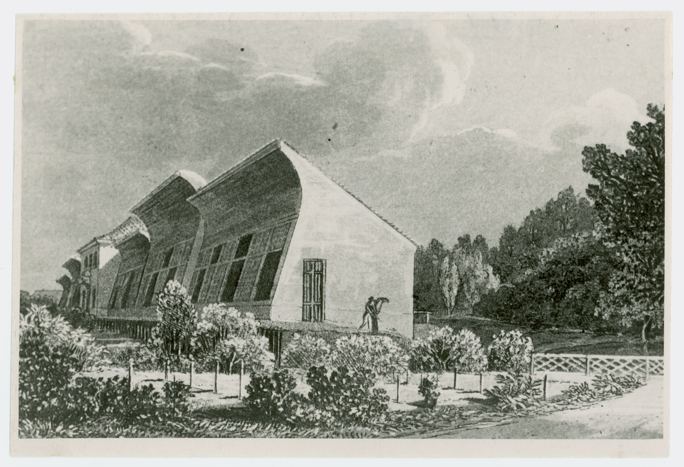 Tartu Ülikooli botaanikaaed Krause kasvuhoone